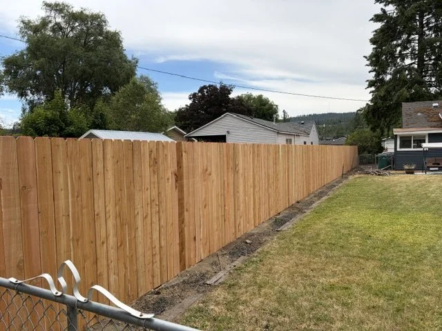 image1 (1).jpeg