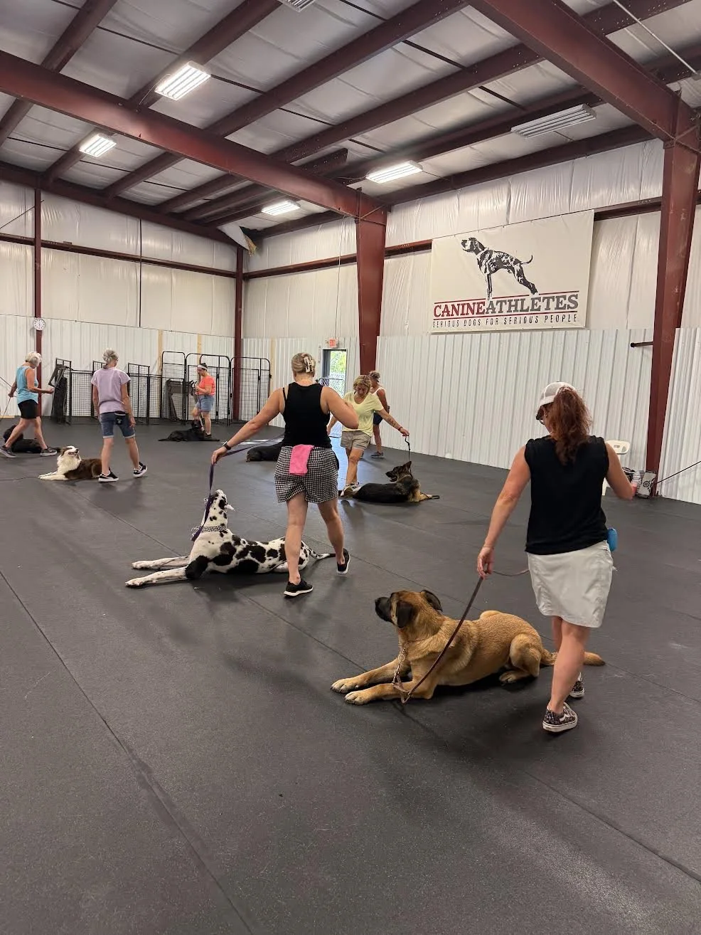 People participating in a dog training class inside a large, indoor facility, with dogs lying or sitting on the floor and handlers standing nearby. There is a large banner on the wall that reads 'CANINE ATHLETES' with an image of a dog.