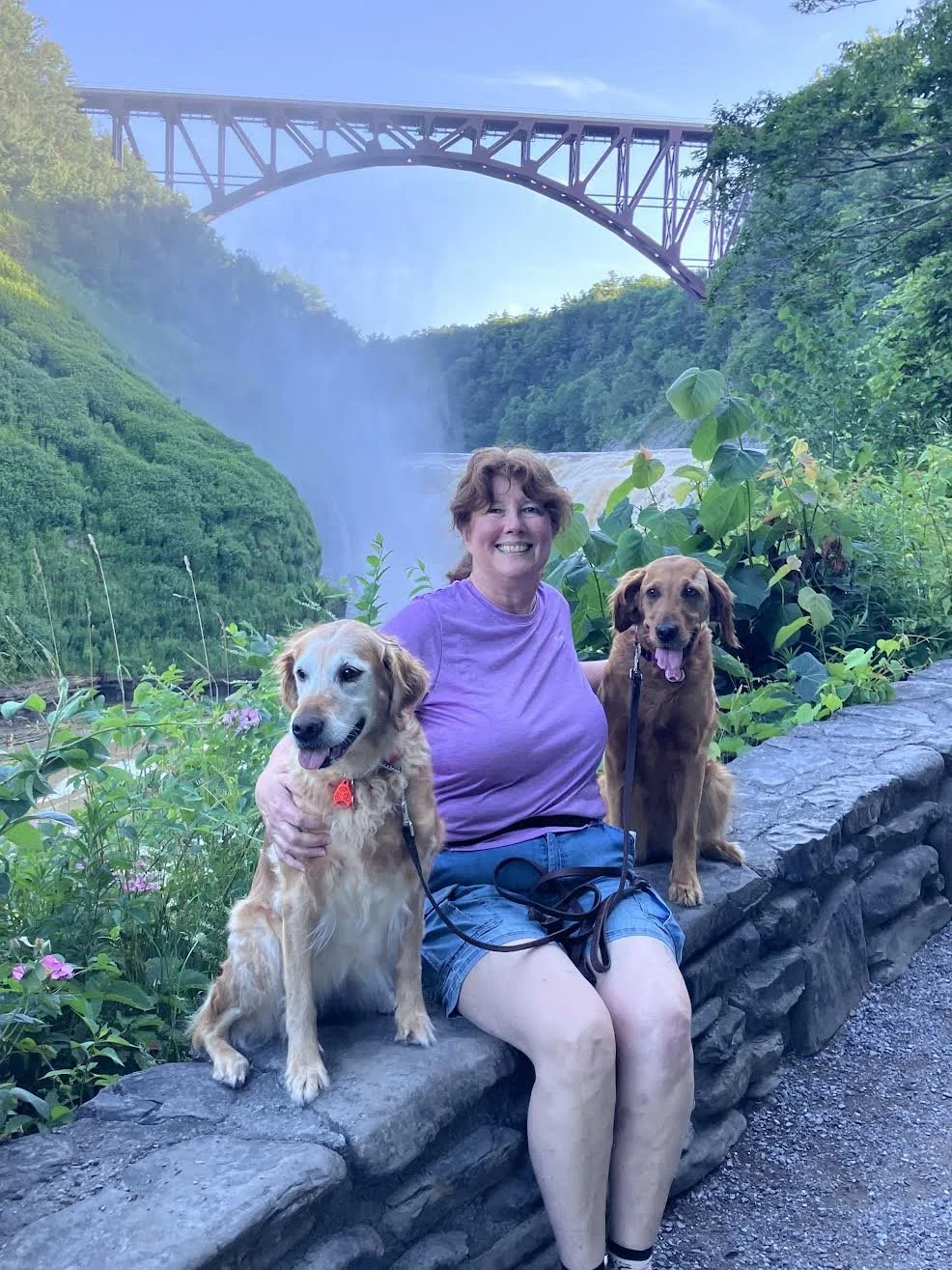 Woman sitting on a stone wall with two dogs in front of a waterfall and a large bridge spanning a lush green canyon.