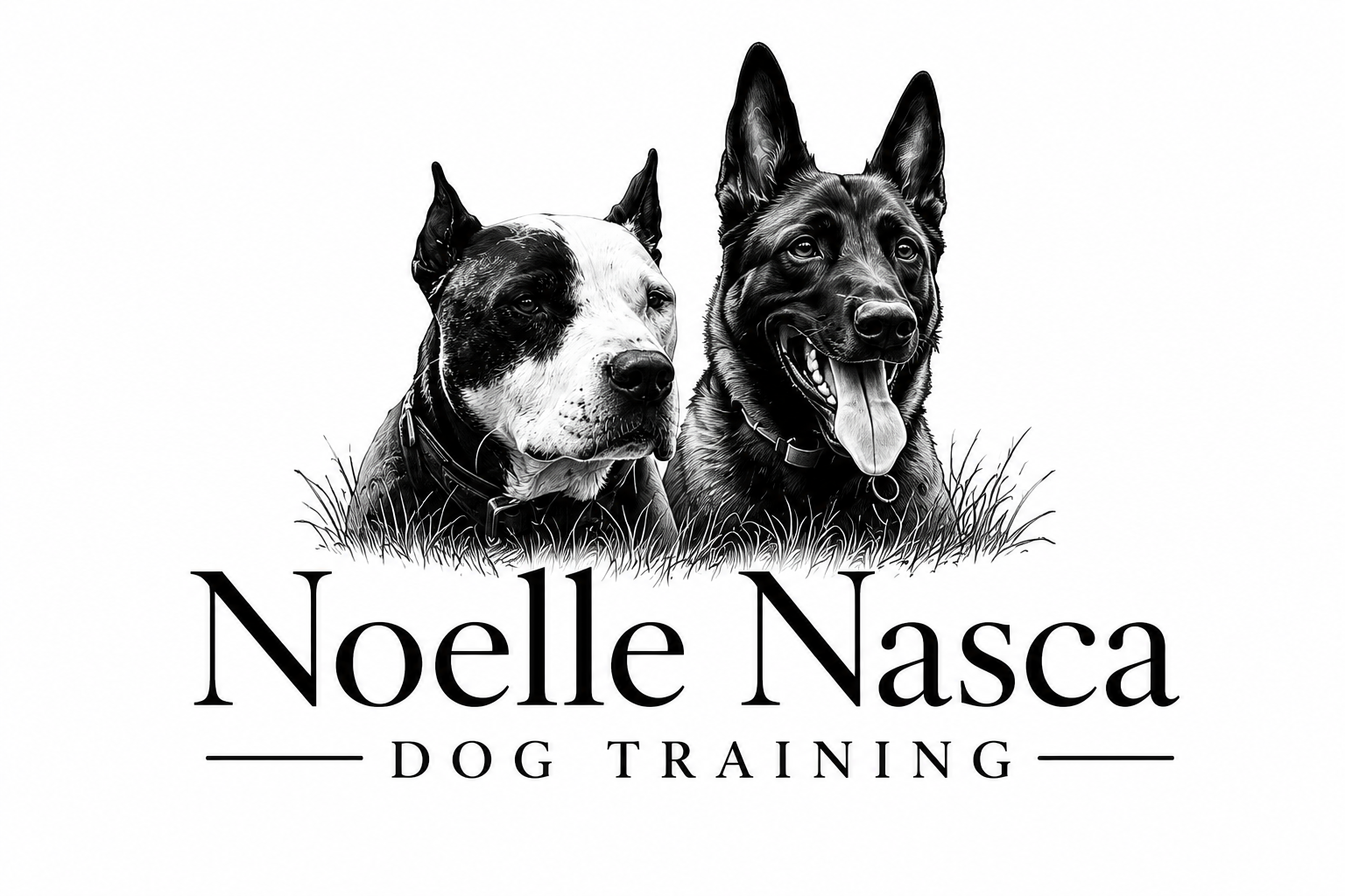 Black and white illustration of a dog training business logo, featuring detailed drawings of a pit bull and a Belgian shepherd sitting in grass, with the text 'Noelle Nasca' and 'Dog Training' beneath them.