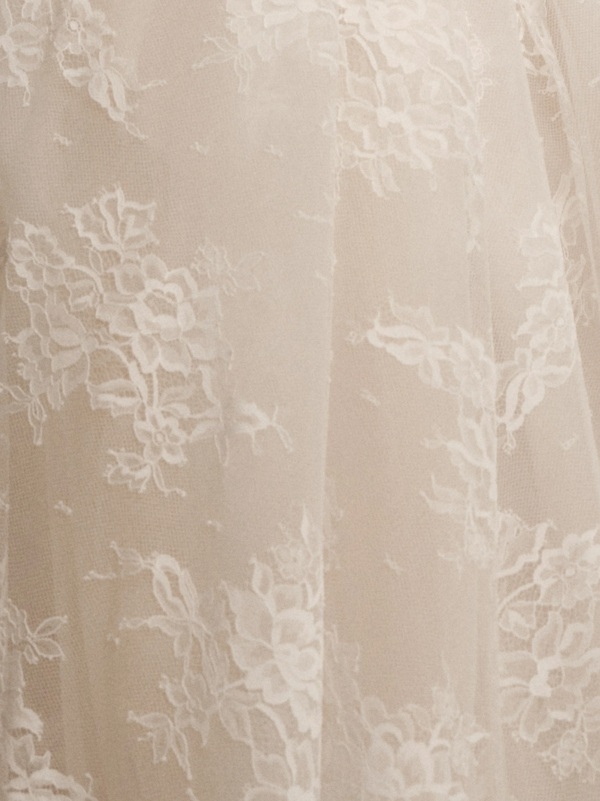 Venus Lace.jpg