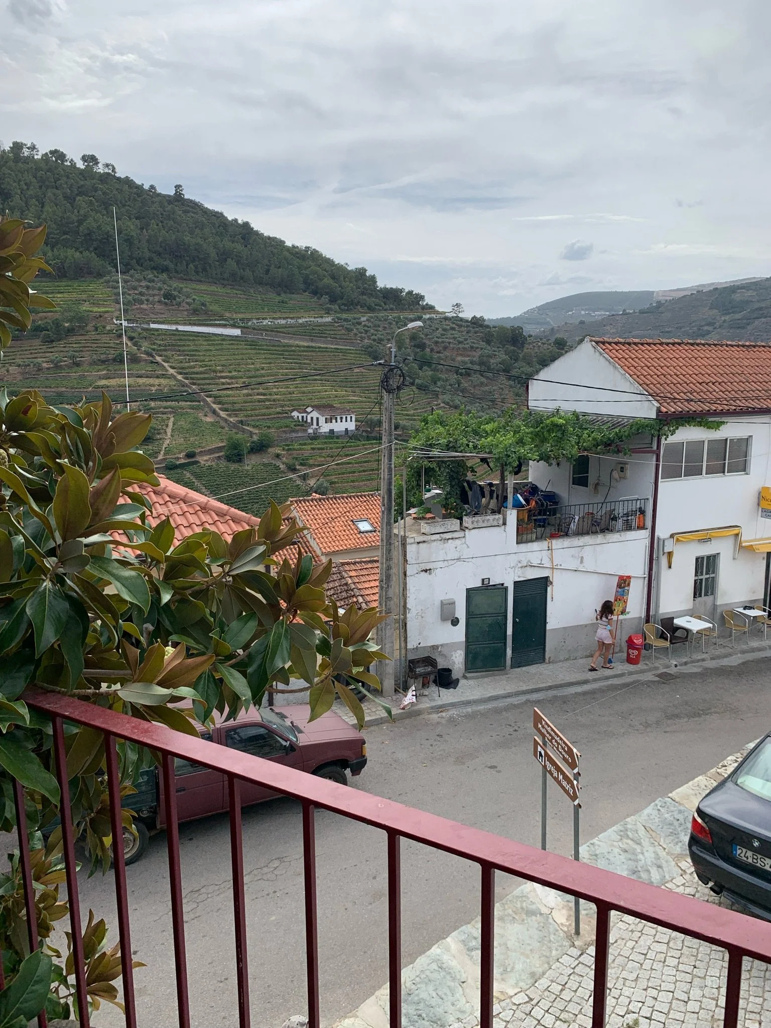 Terraced vineyards overlooking Vale de Mendiz in Portugal's Douro Valley