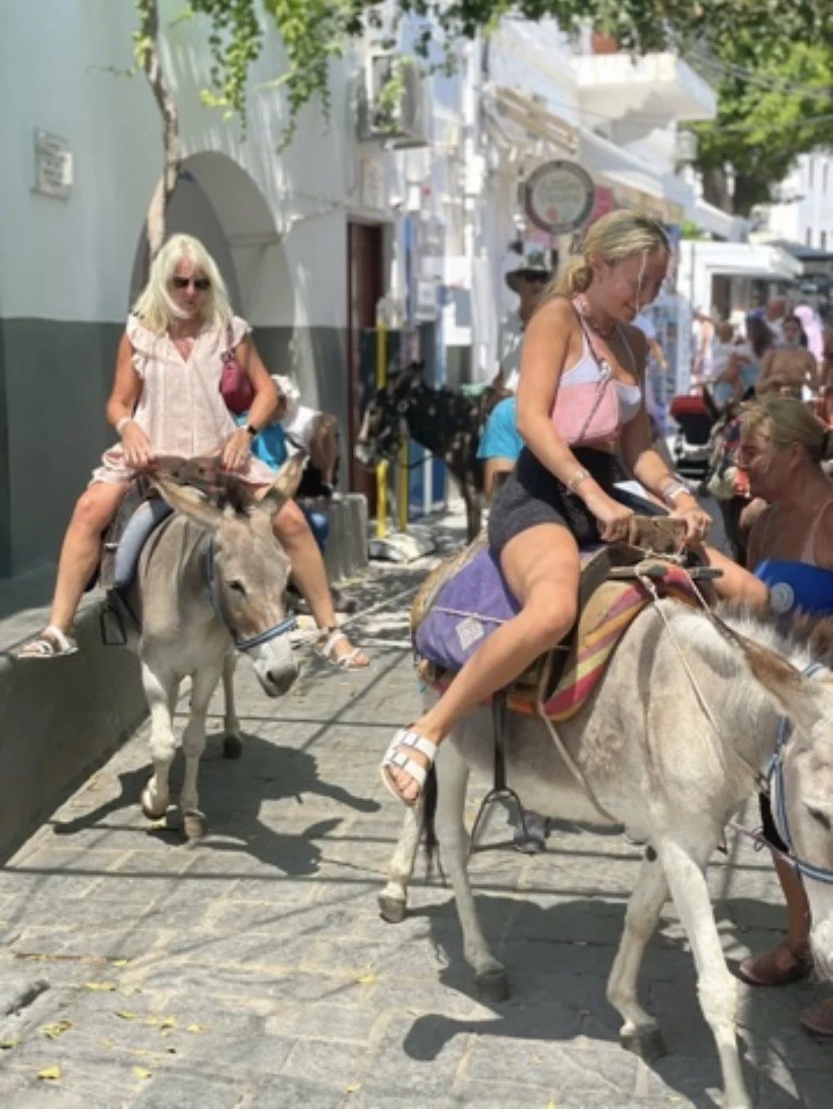 Traditional donkey rides in Lindos village on Rhodes