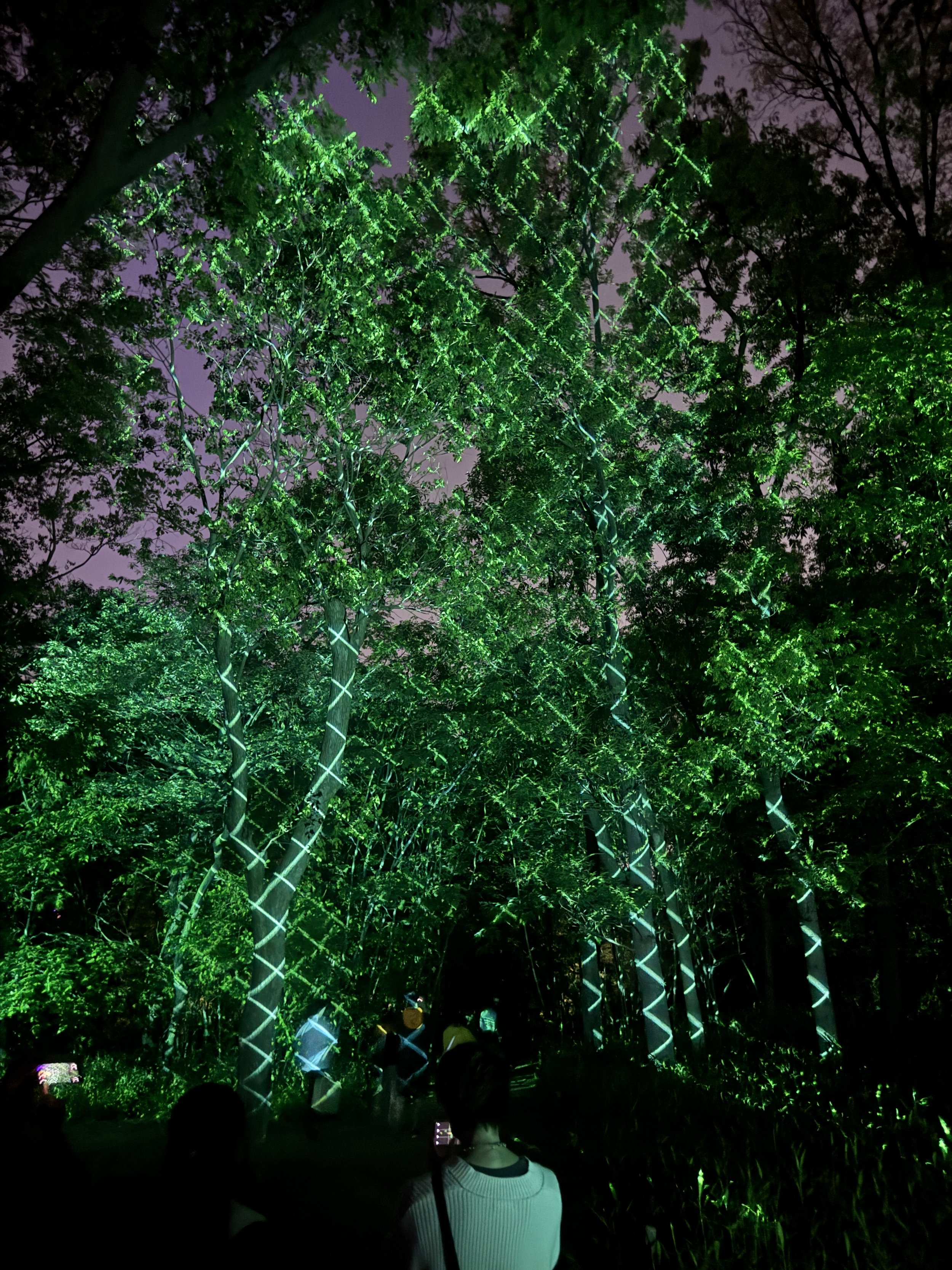 Green illuminated forest installation at teamLab Botanical Garden Osaka