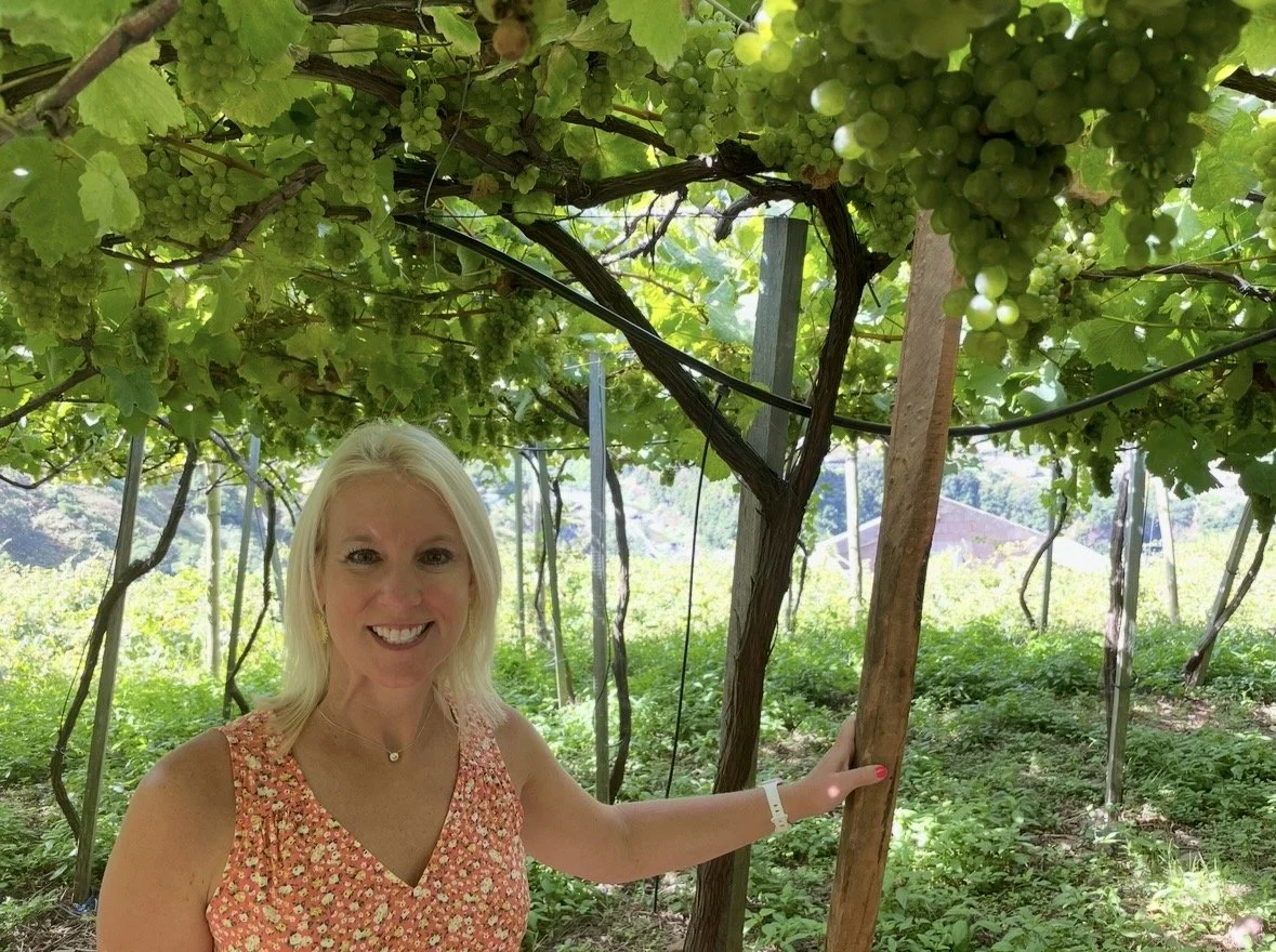 Visitor standing beneath grapevines in a traditional Madeira vineyard during a wine tour.