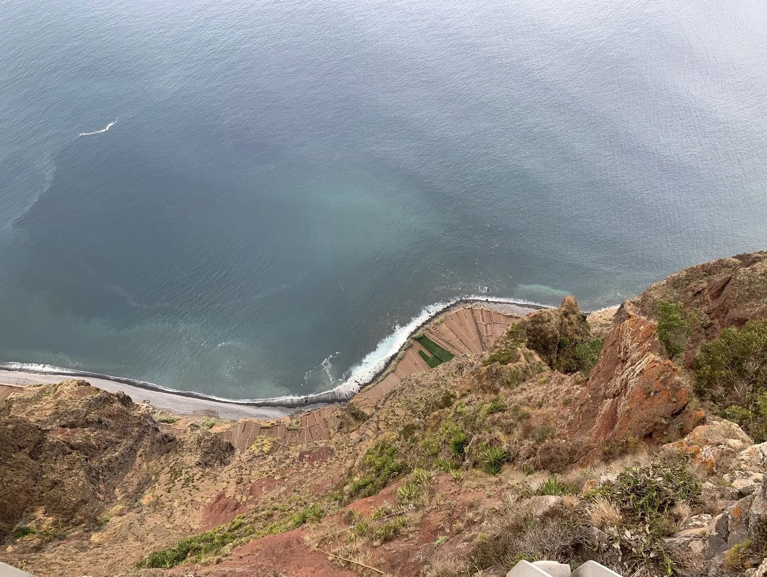 Terraced farmland on the fajãs below Cabo Girão sea cliff in Madeira.