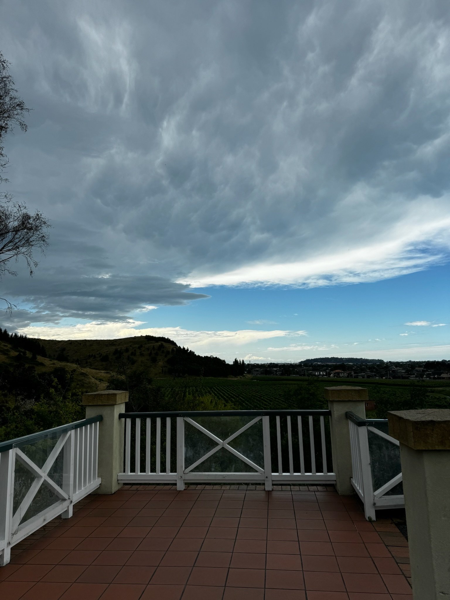 Panoramic vineyard views from Mission Estate Winery in Taradale, Hawke's Bay
