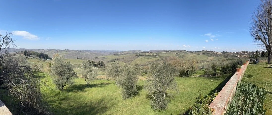 Panoramic vineyard landscape in the Greve and Radda area of Chianti