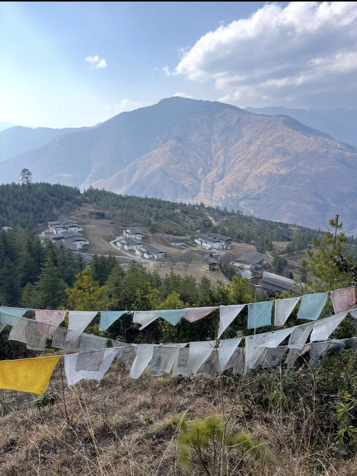 Mountain landscape with a village of houses on a hillside, surrounded by trees and with prayer flags in the foreground.