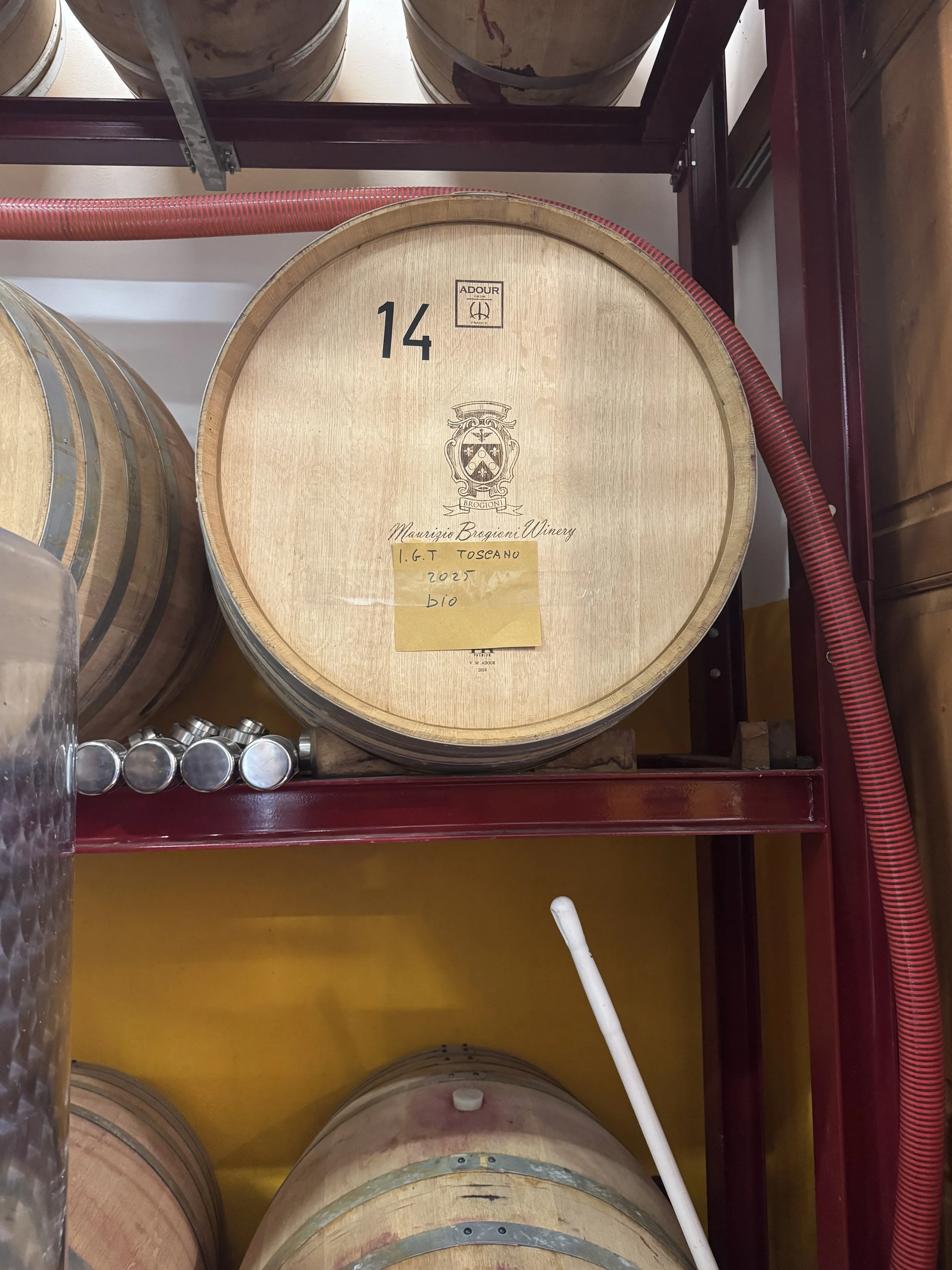 Oak wine barrel in the Maurizio Brogioni Winery cellar in Chianti Classico
