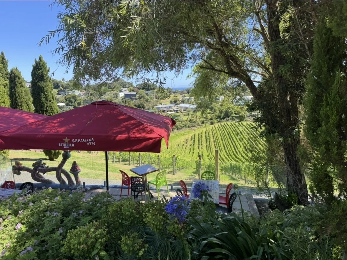 Waiheke Island vineyard overlooking Hauraki Gulf near Auckland, New Zealand