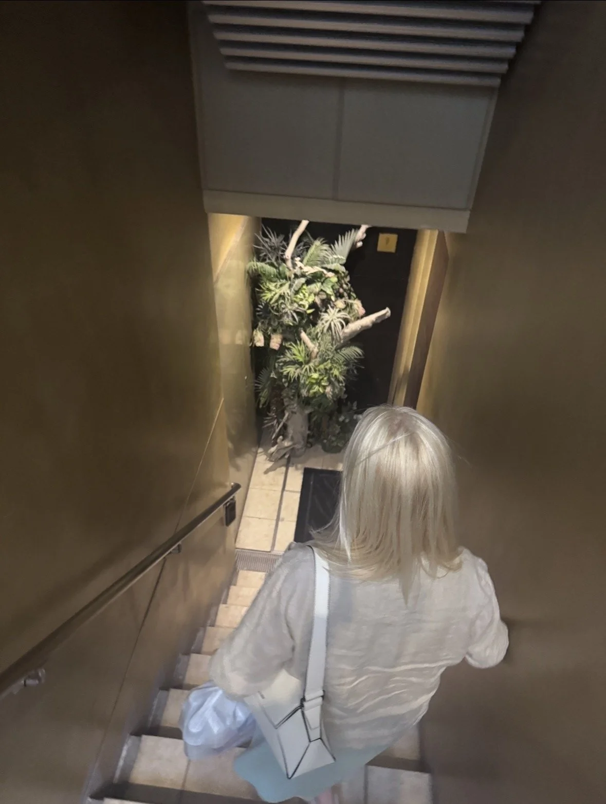 Stairway leading down to the hidden entrance of Bar Libre Ginza in Tokyo