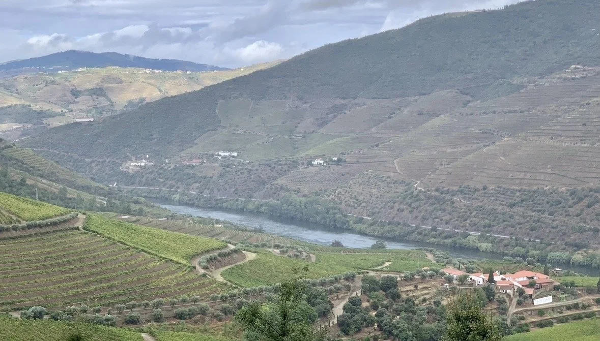 Panoramic view of the Douro River and vineyard-covered hills from Quinta da Gricha