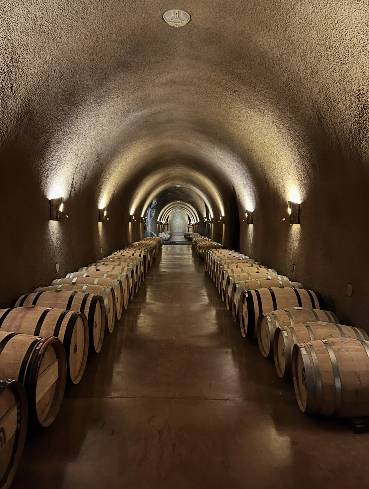 Napa Valley vineyard Cabernet Sauvignon wine region California