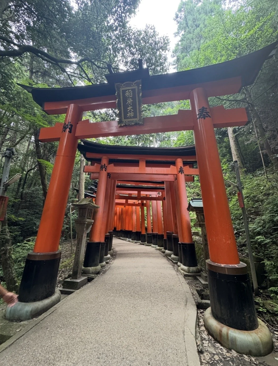 A pathway through a series of red torii gates in a forest setting.