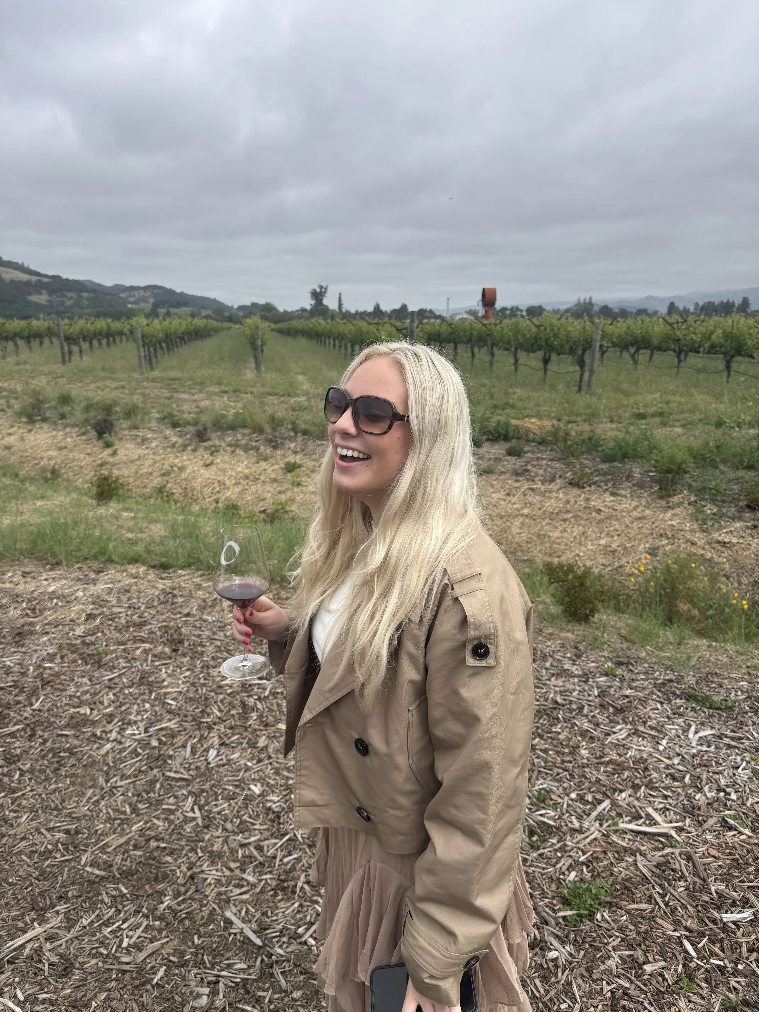 Wine tasting among Napa Valley vineyards near downtown Napa