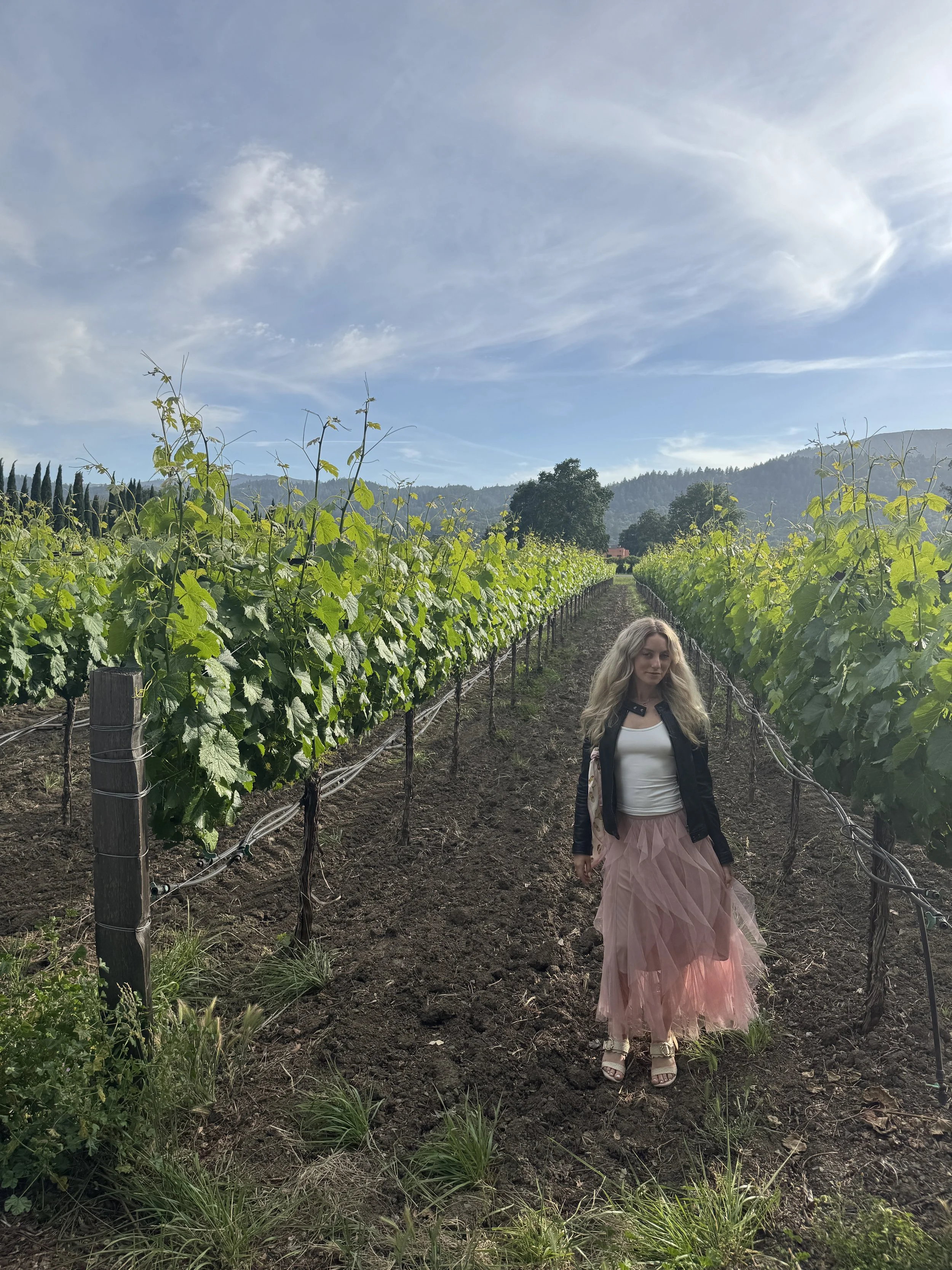 Vineyard views at O'Brien Estate Winery in Napa Valley