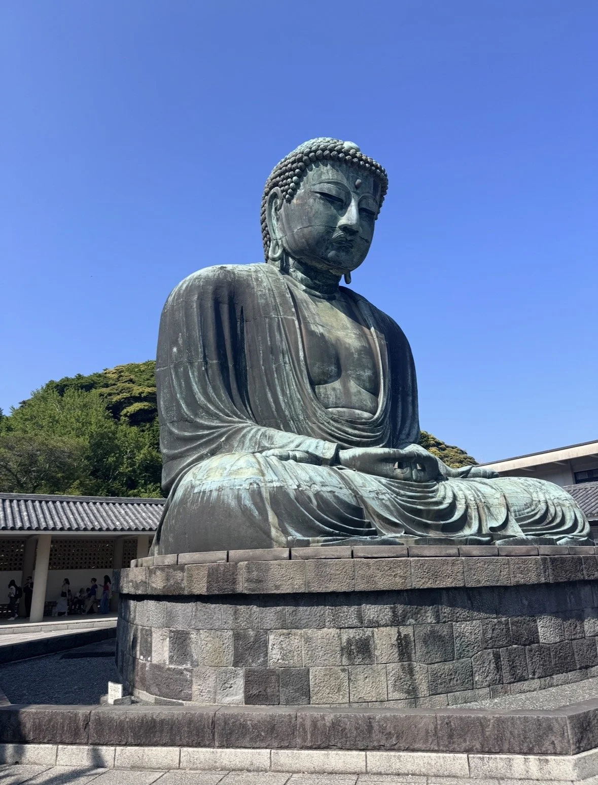 Side view of the Great Buddha of Kamakura
