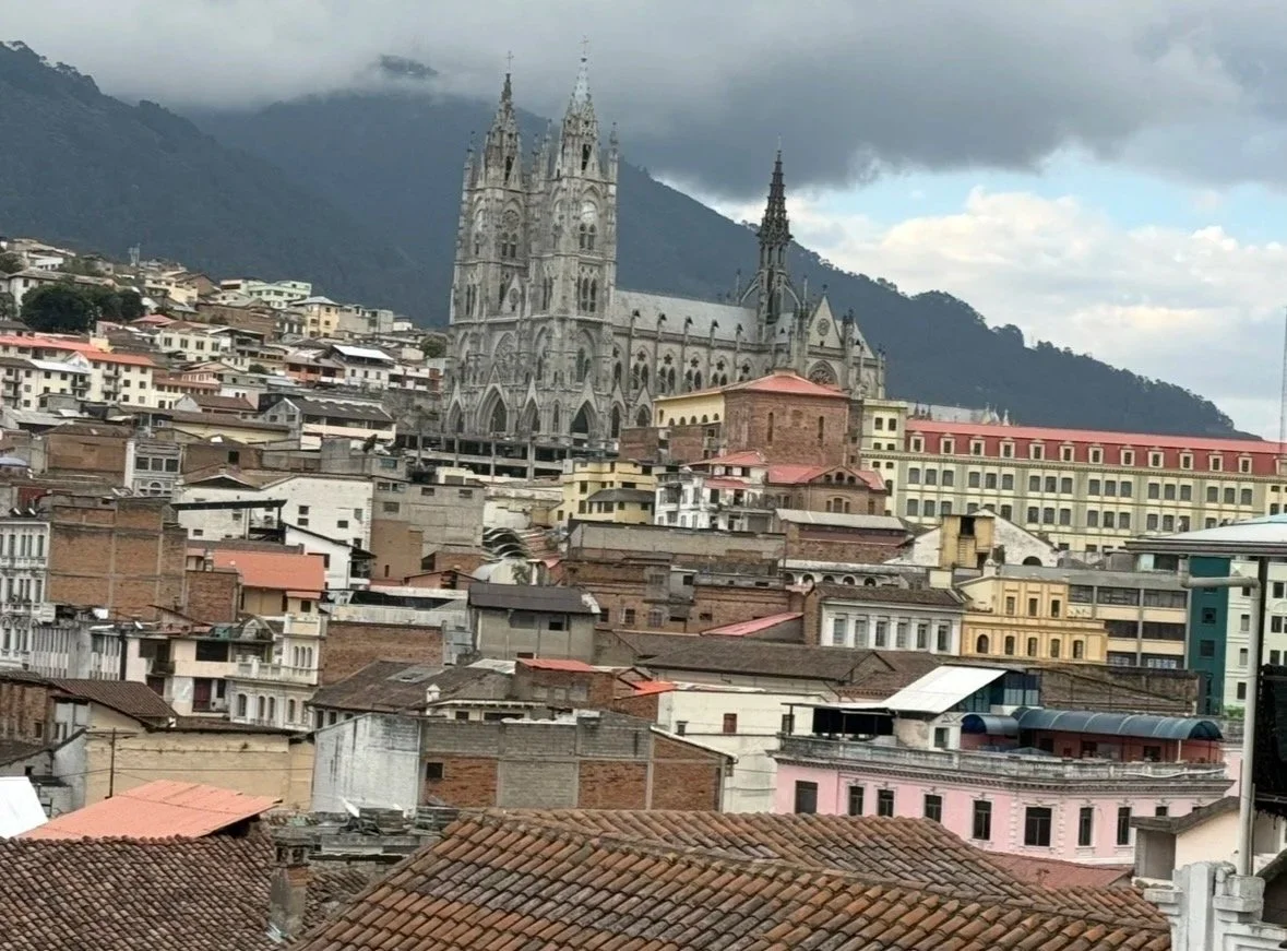 A cityscape with a large Gothic-style cathedral in the background, surrounded by various smaller buildings and houses, with mountains and a cloudy sky behind.
