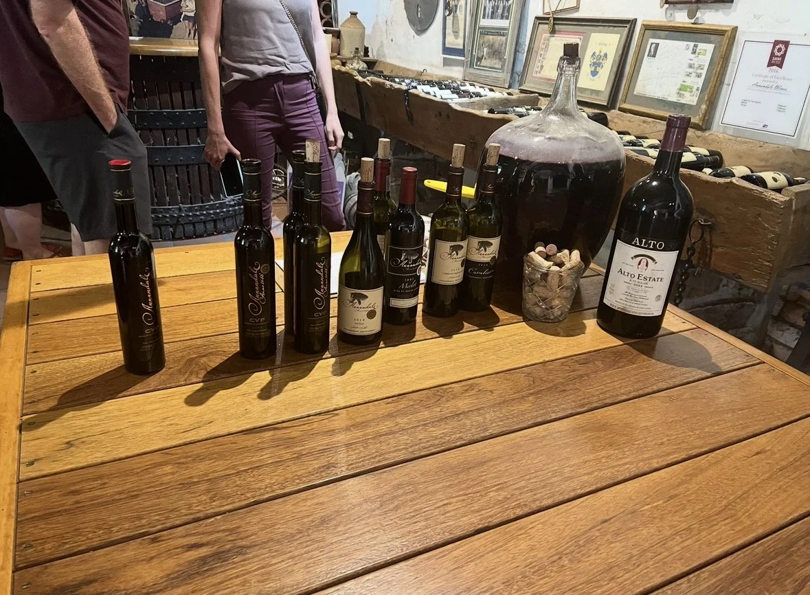 Wine tasting lineup at Annandale Wines in Stellenbosch near Cape Town