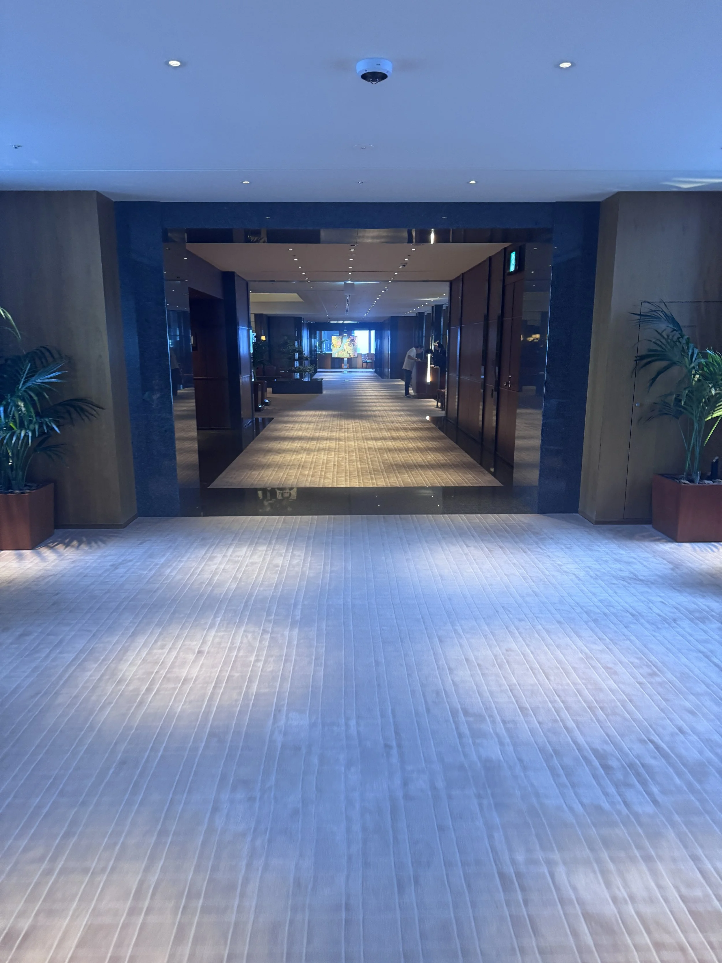 Entrance corridor leading to the Park Hyatt Tokyo lobby.
