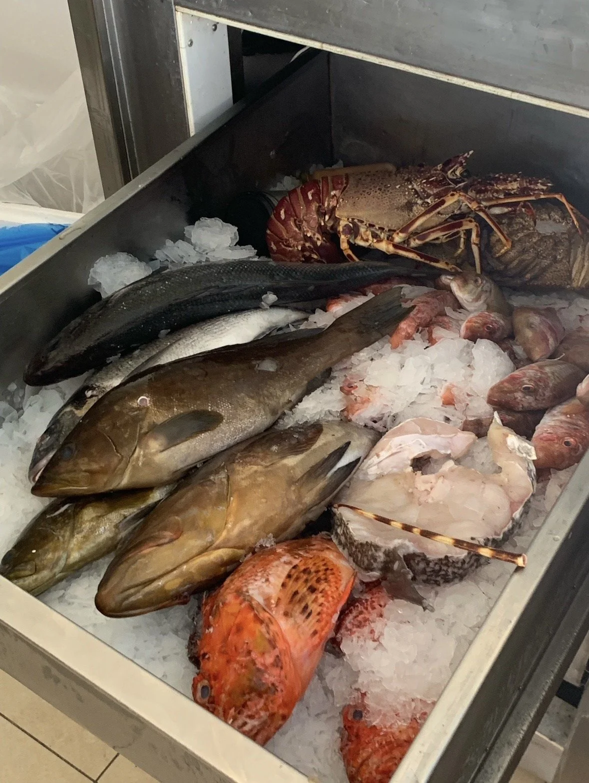 Fresh Mediterranean seafood available at Argo Restaurant