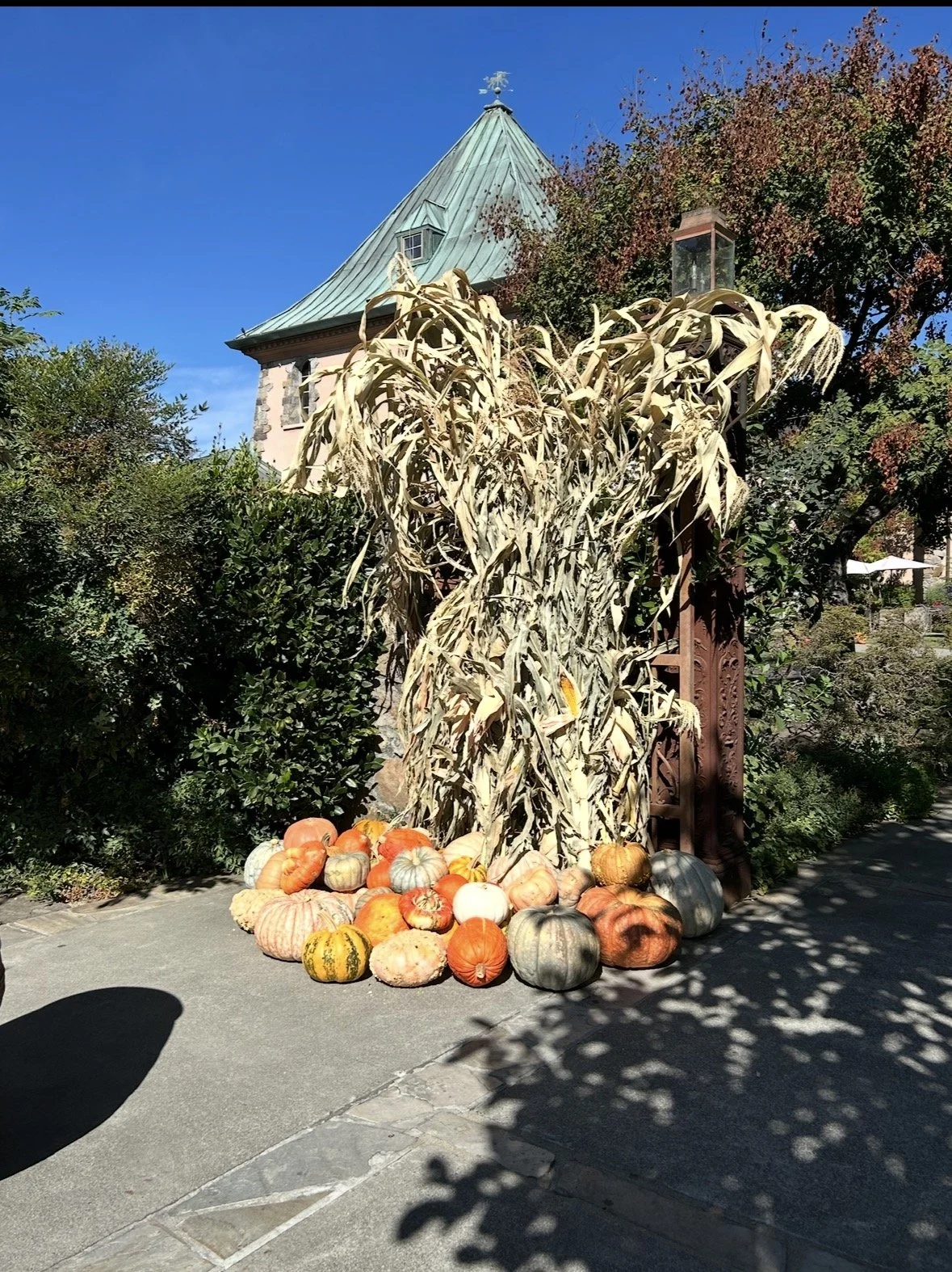 Fall decorations and gardens at Peju Winery in Napa Valley