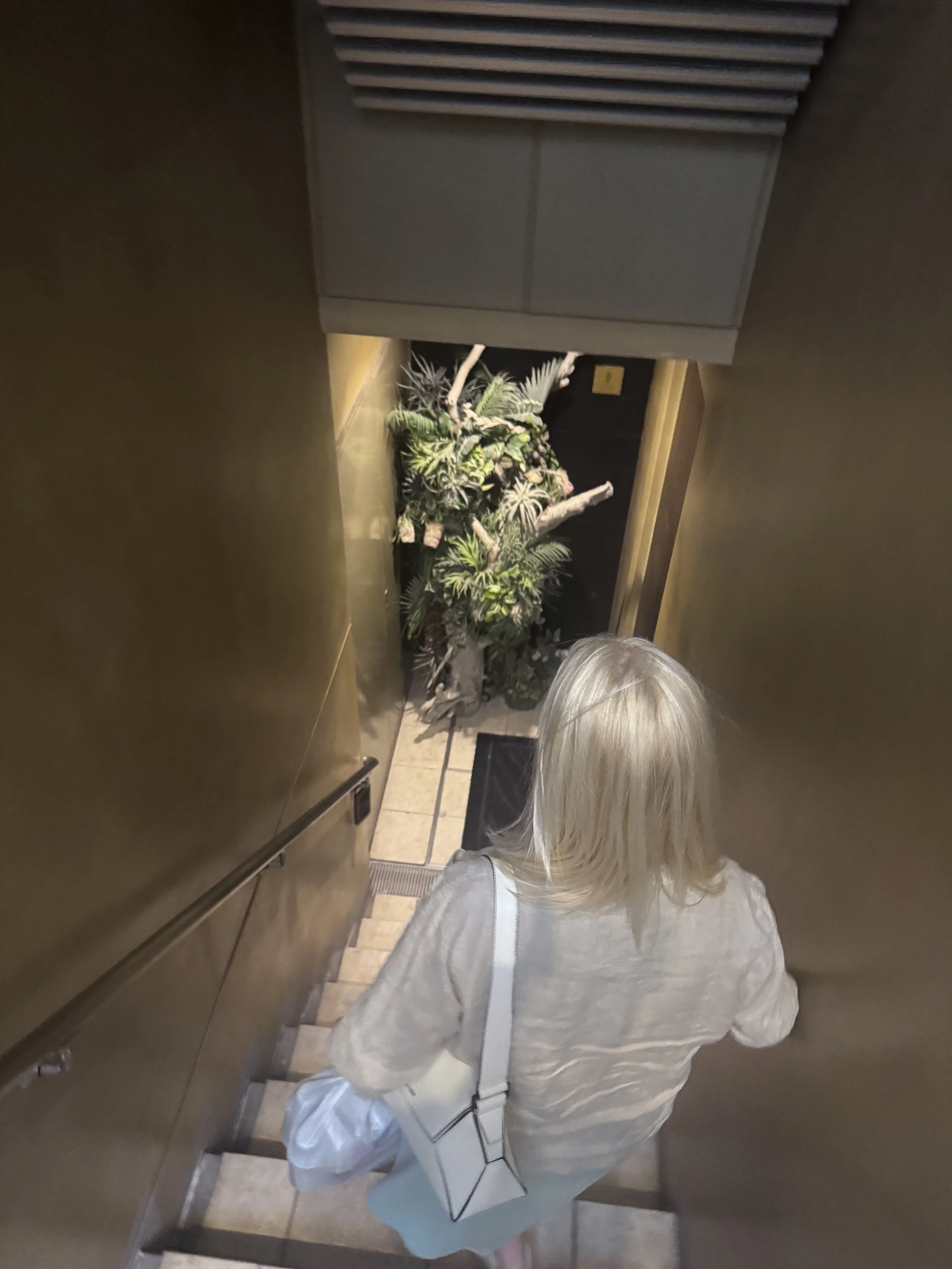 Entrance staircase leading to Bar Libre cocktail bar in Ginza Tokyo