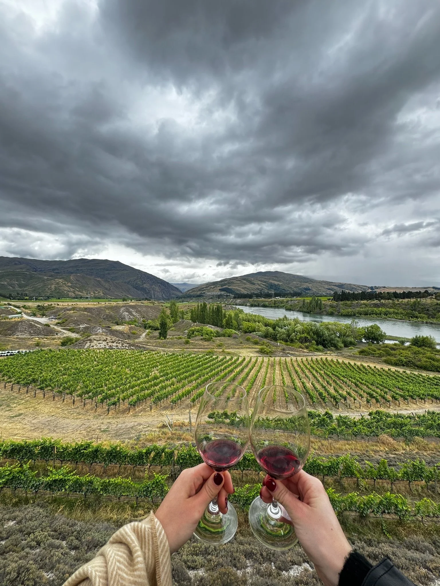 Central Otago vineyards near Queenstown, New Zealand