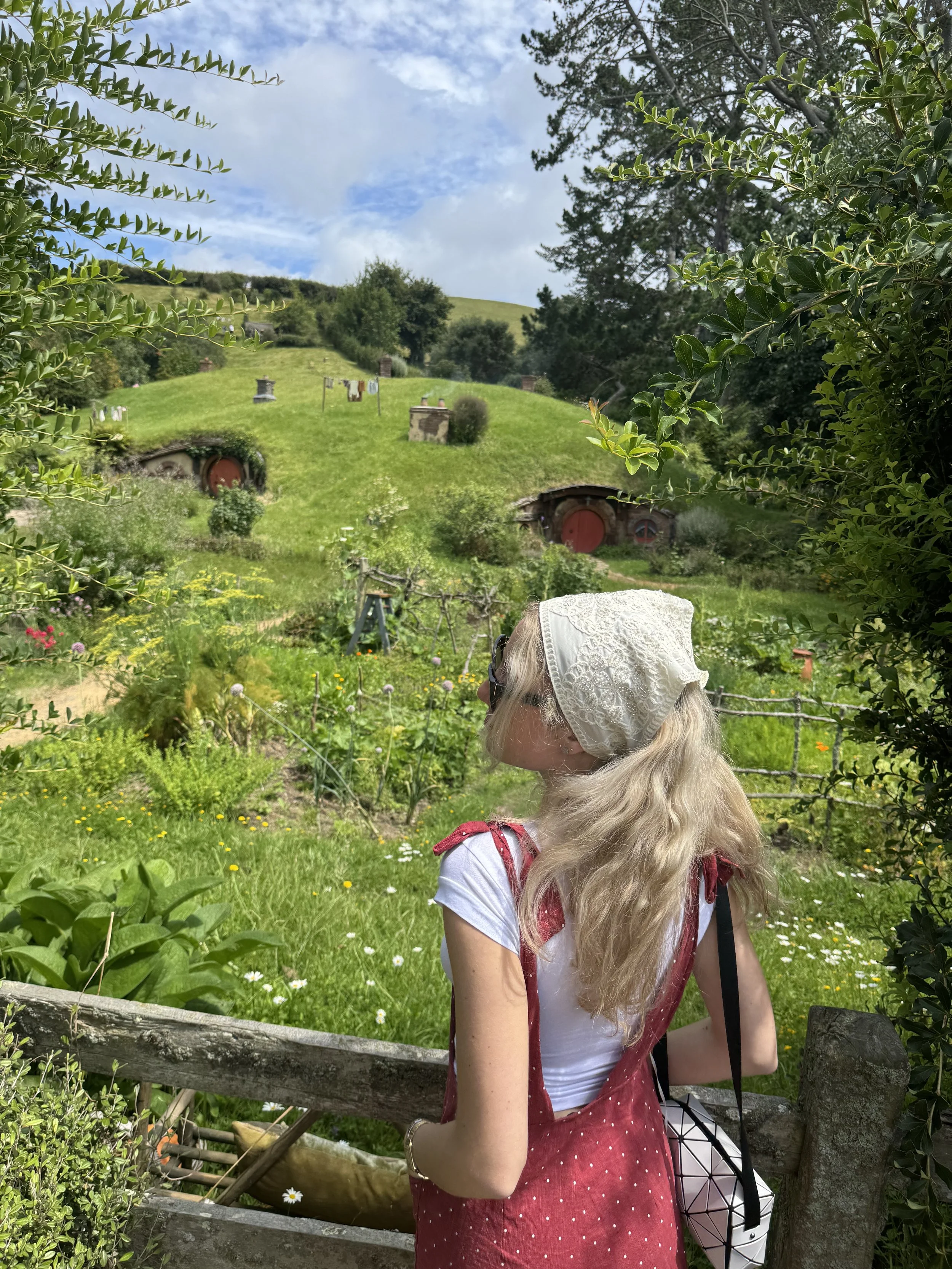 View across the Hobbiton Movie Set with Hobbit holes built into the hillside in New Zealand