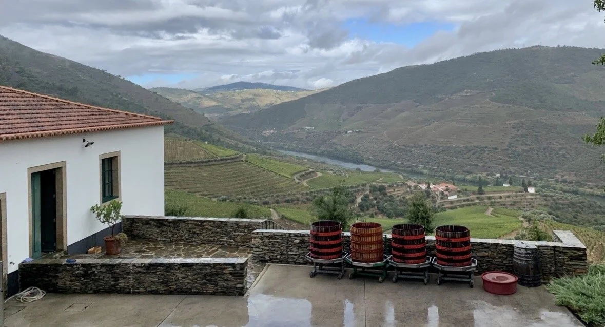 View from Quinta da Gricha overlooking the Douro River and terraced vineyards in Portugal's Douro Valley