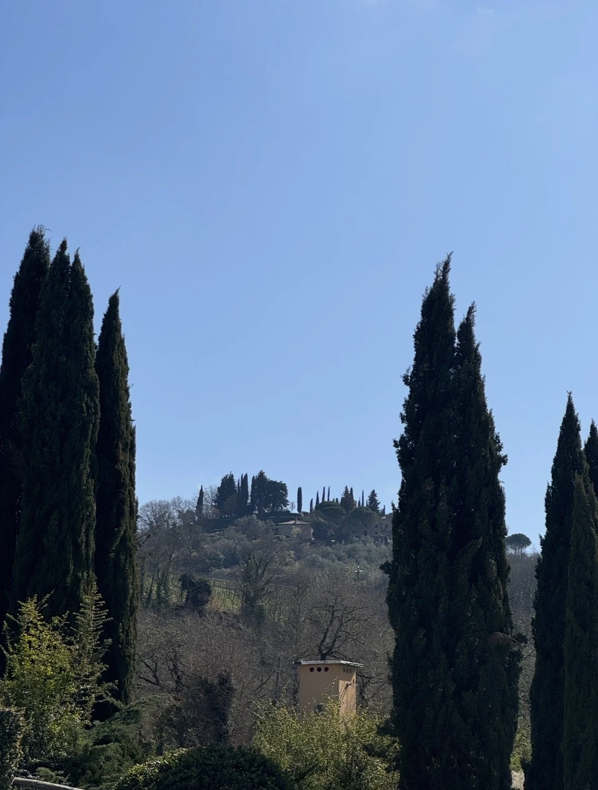 Cypress trees overlooking the rolling hills of Chianti, Tuscany