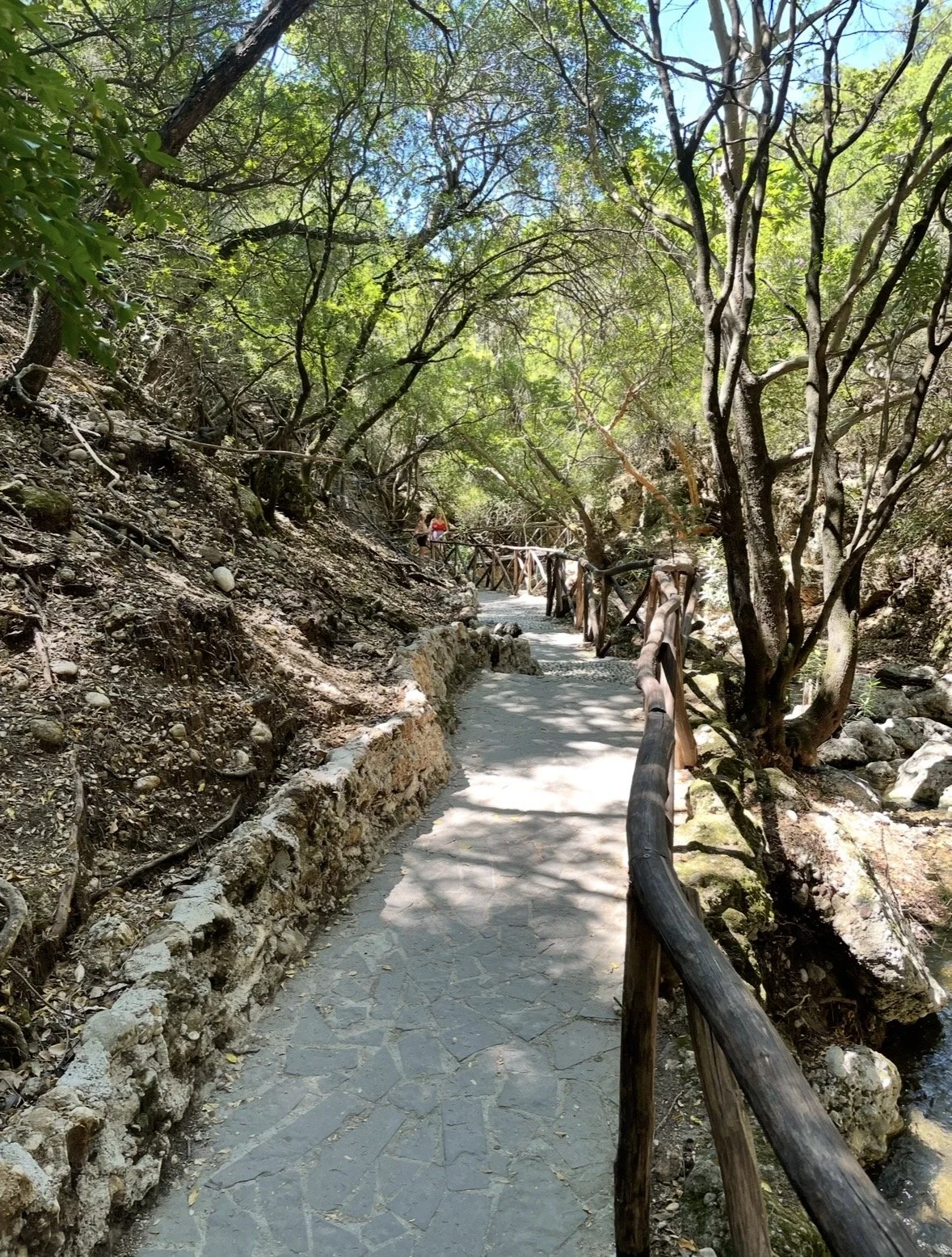 Shaded walking trail through Butterfly Valley in Rhodes