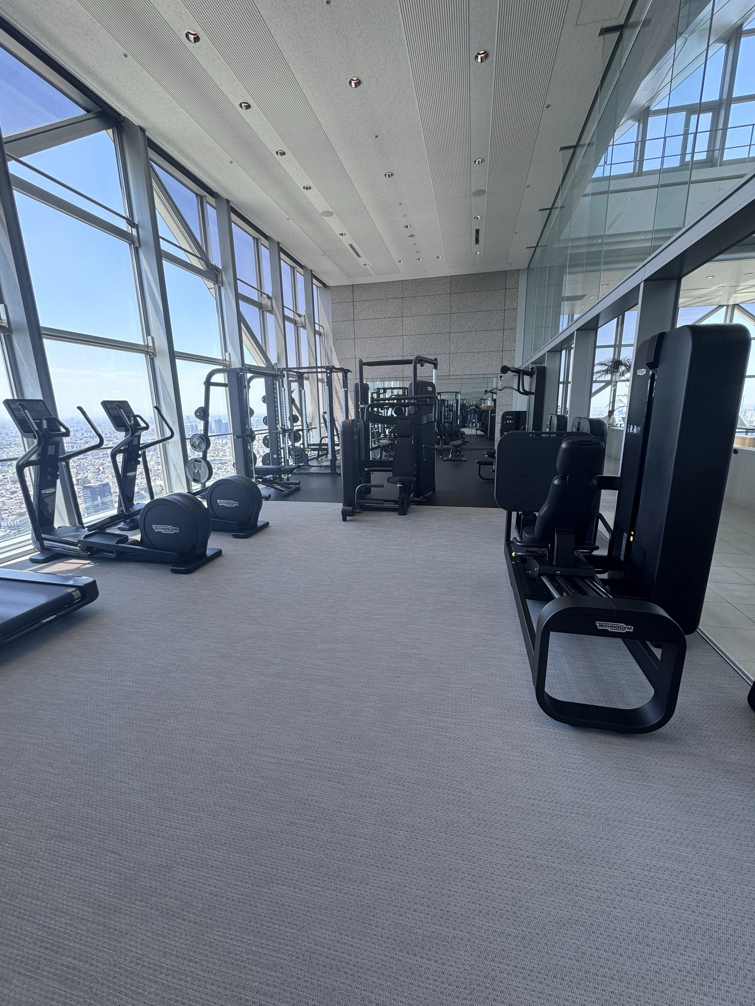 Fitness center at Park Hyatt Tokyo with Technogym equipment and floor-to-ceiling city views.