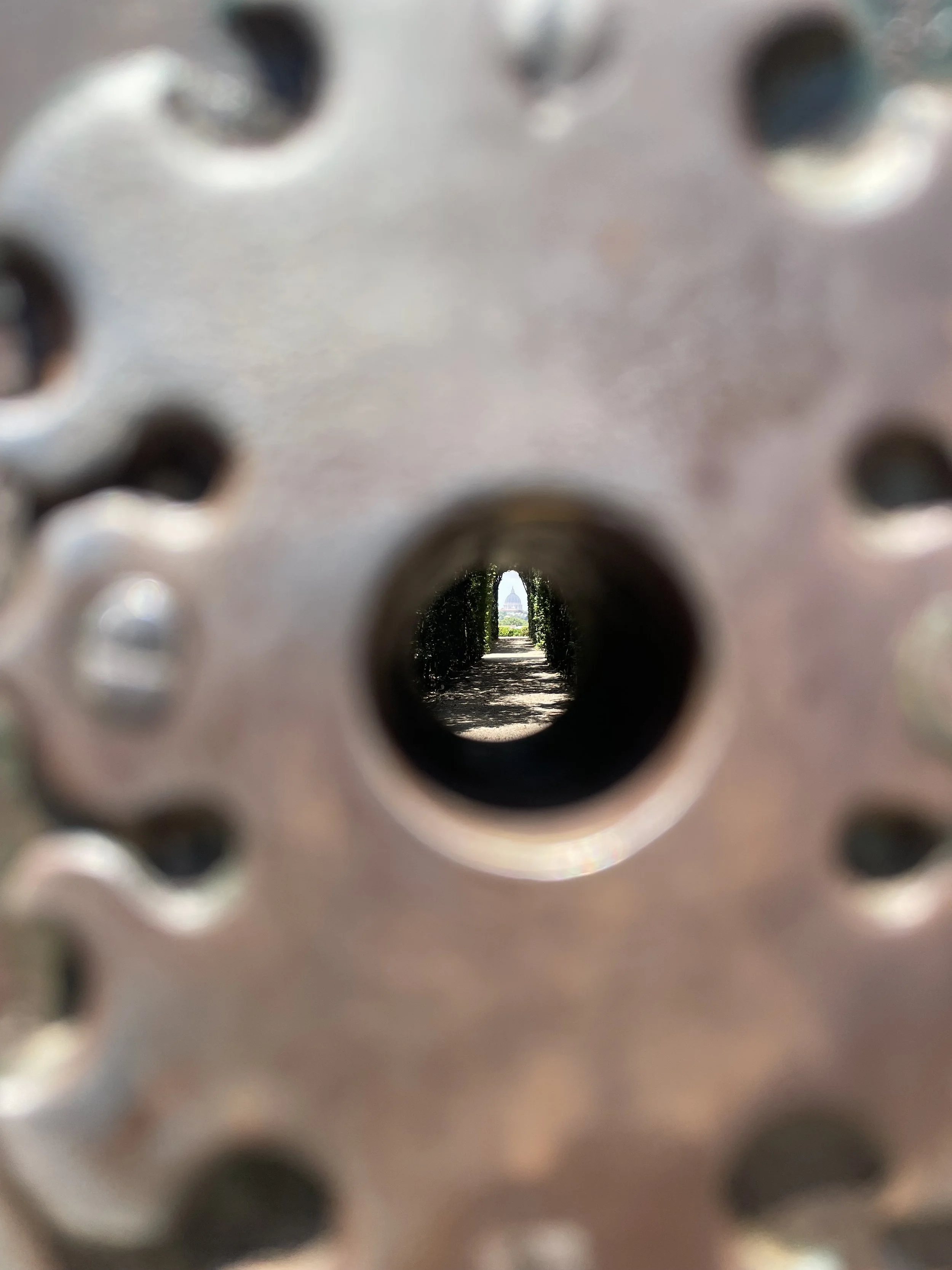 Close-up view through a metal object with circular holes, revealing a distant view of trees and a building with a dome.