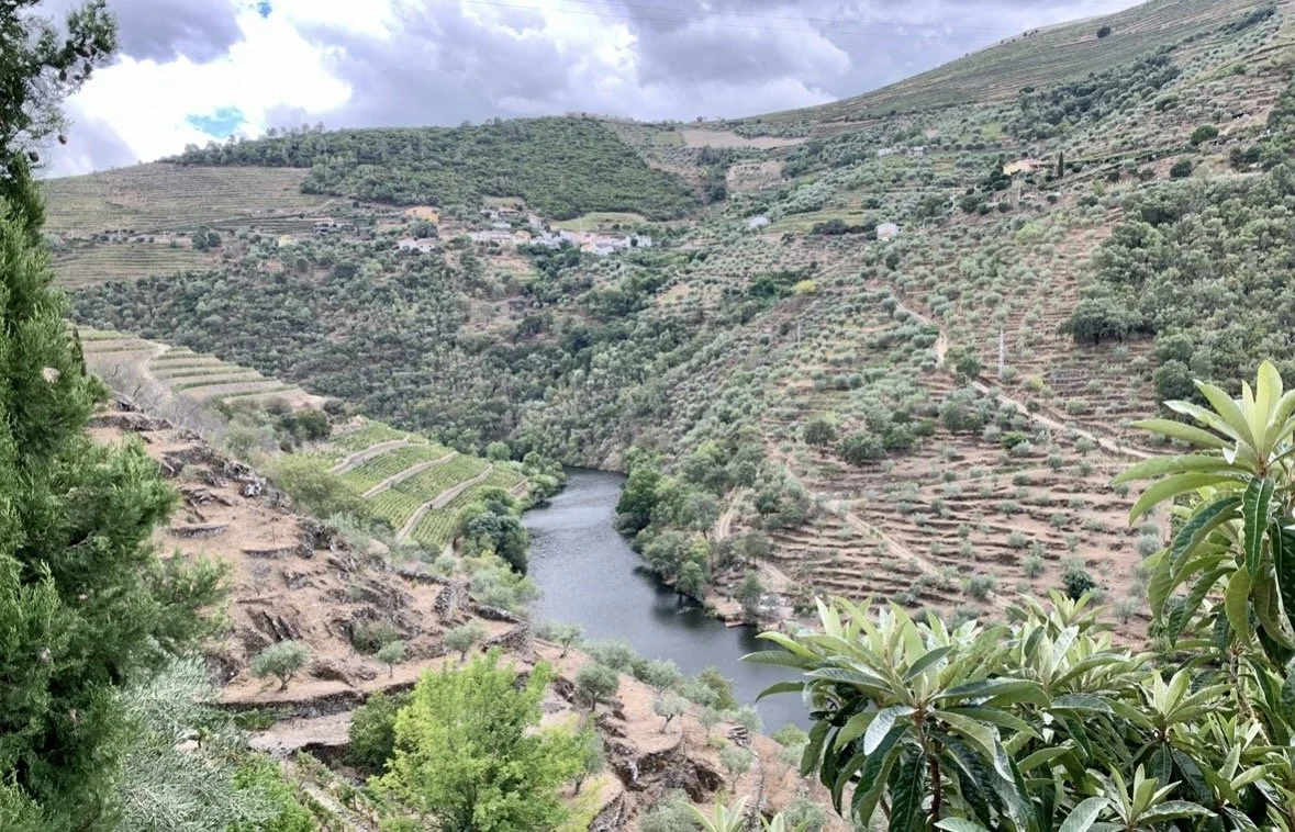 Panoramic view of the Douro Valley with terraced vineyards overlooking the Douro River in northern Portugal.