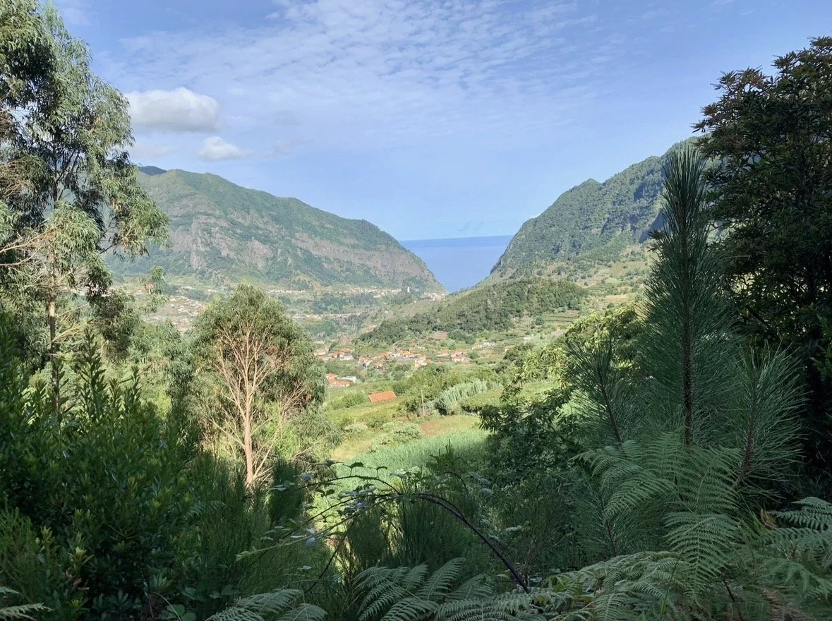 Panoramic view of Madeira's lush volcanic mountains and Laurisilva Forest