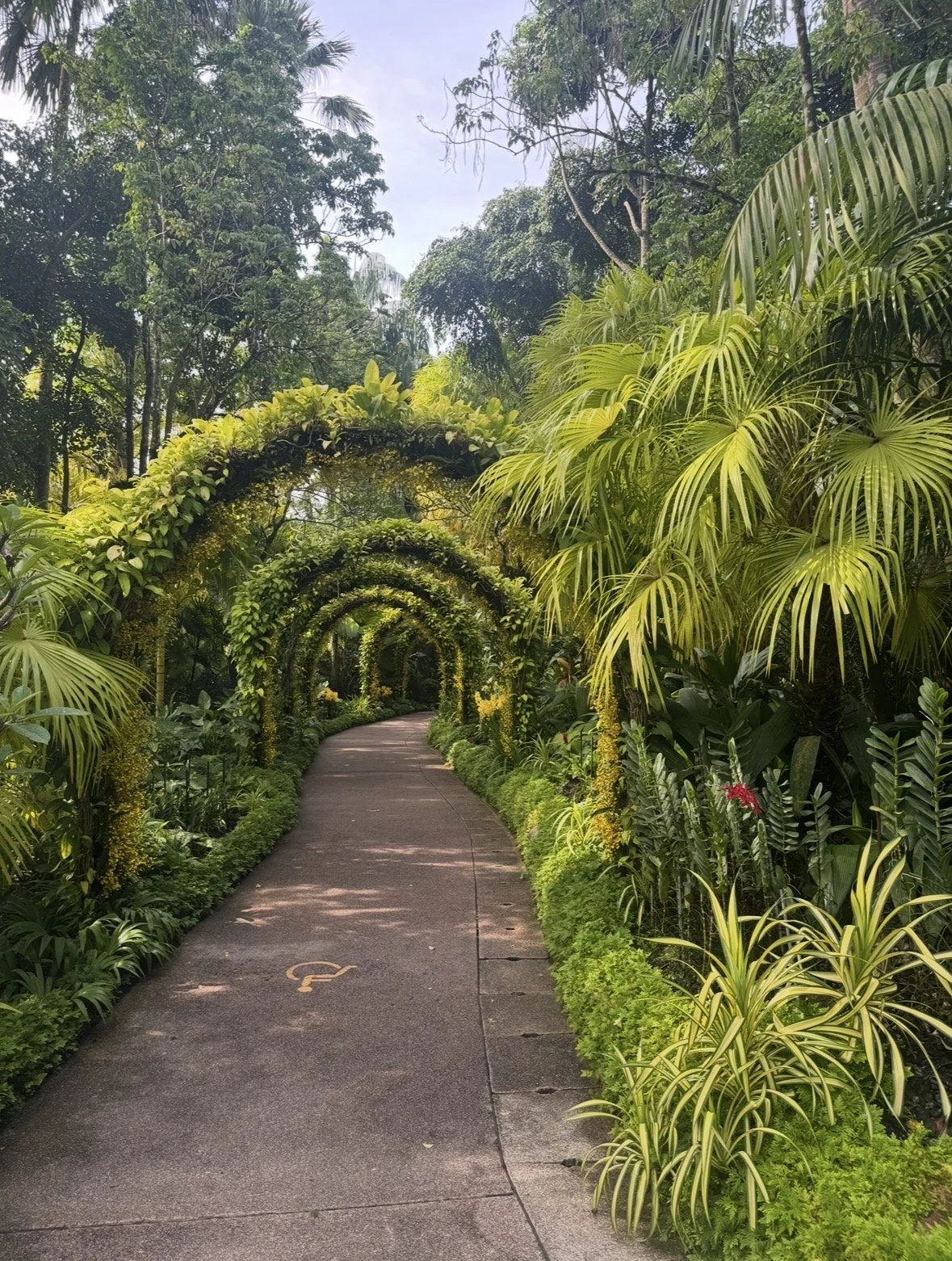 Garden pathway beneath tropical archways at Singapore Botanic Gardens
