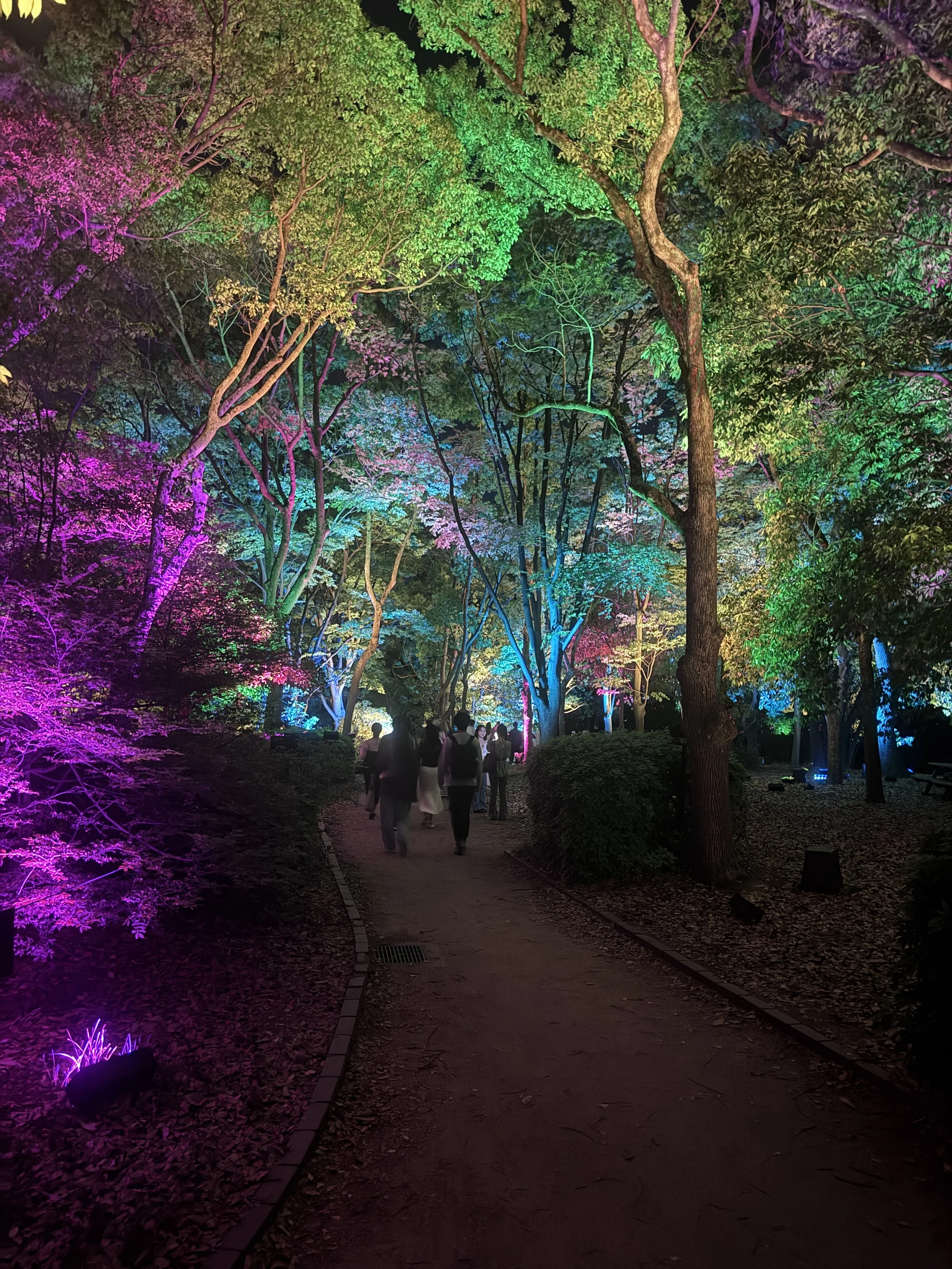 Illuminated forest pathway at teamLab Botanical Garden Osaka at night