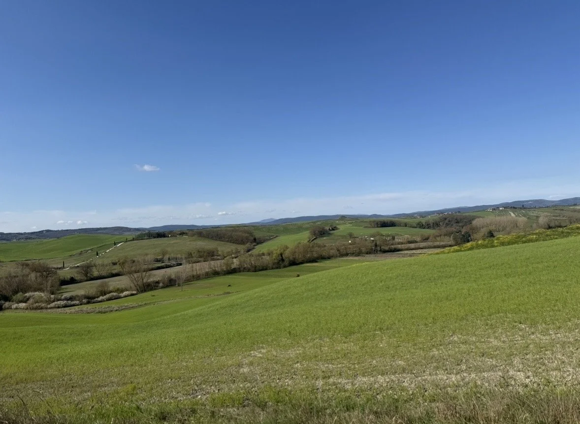 Scenic view of rolling green hills and fields under a clear blue sky with a few scattered clouds.