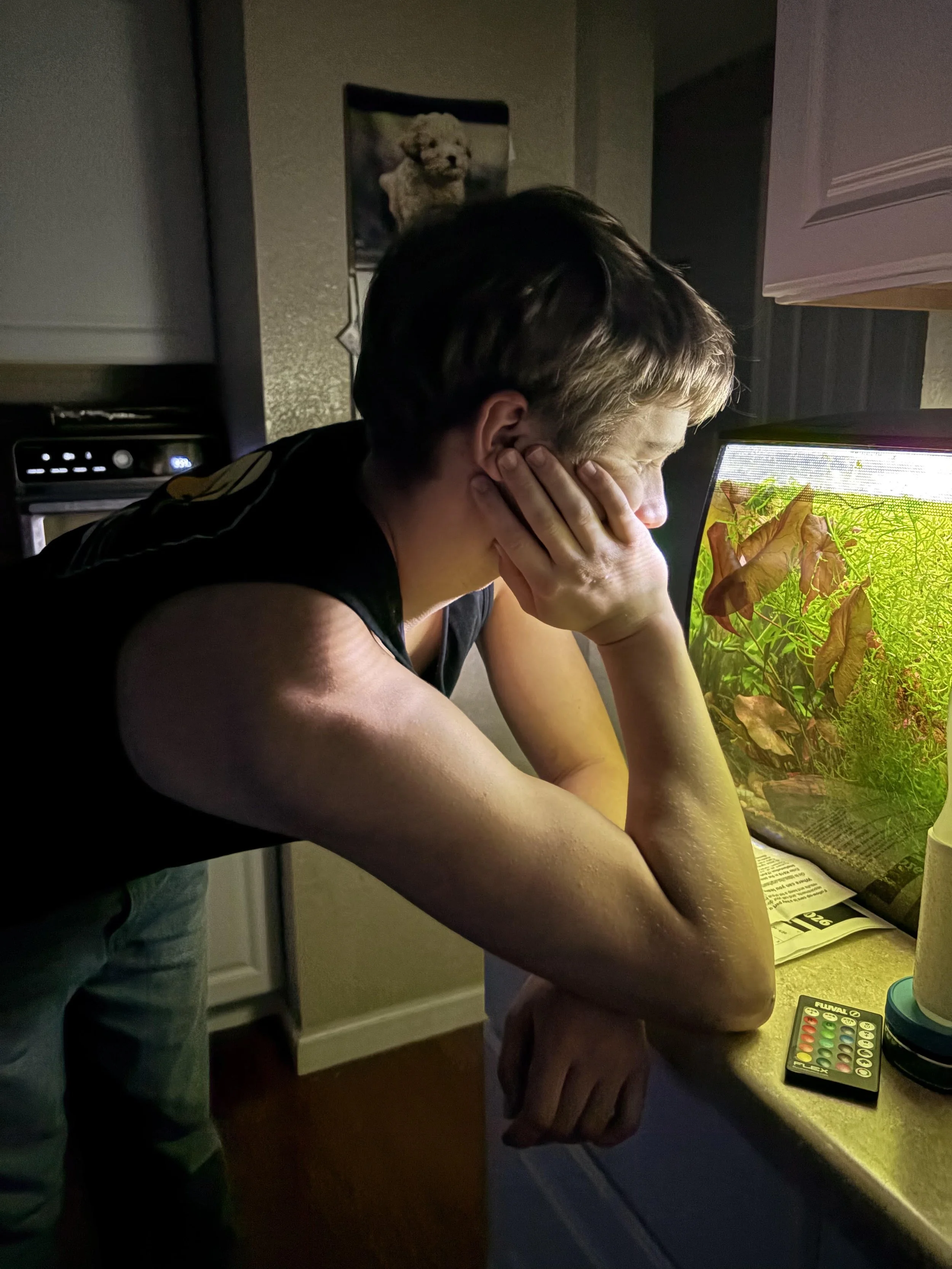 A person with short hair leaned over a counter, supporting their head with one hand, looking at a tablet or phone with a colorful display, in a dimly lit room with a pet photo on the wall.