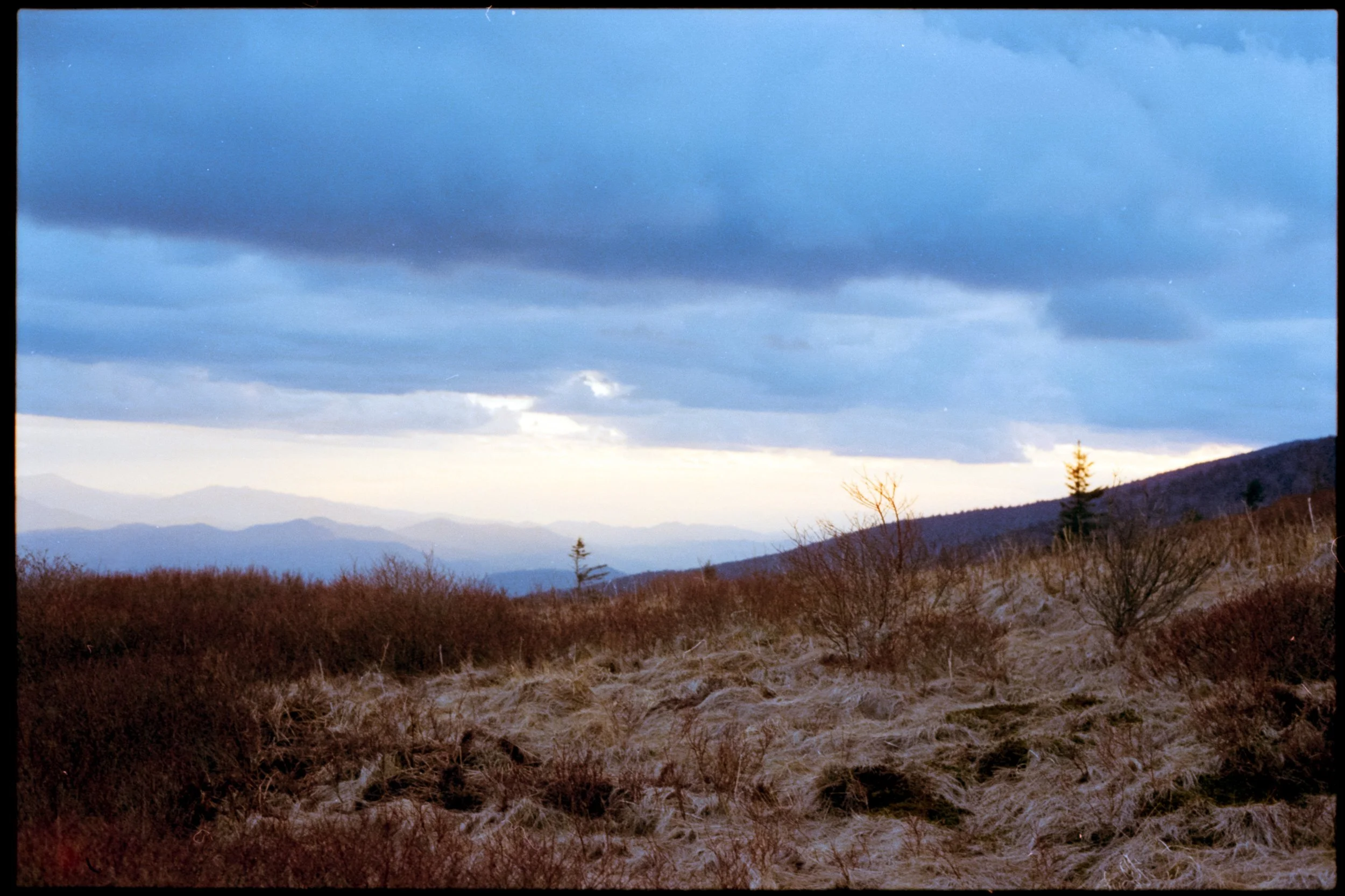 Roan Mountain,
March 2026
