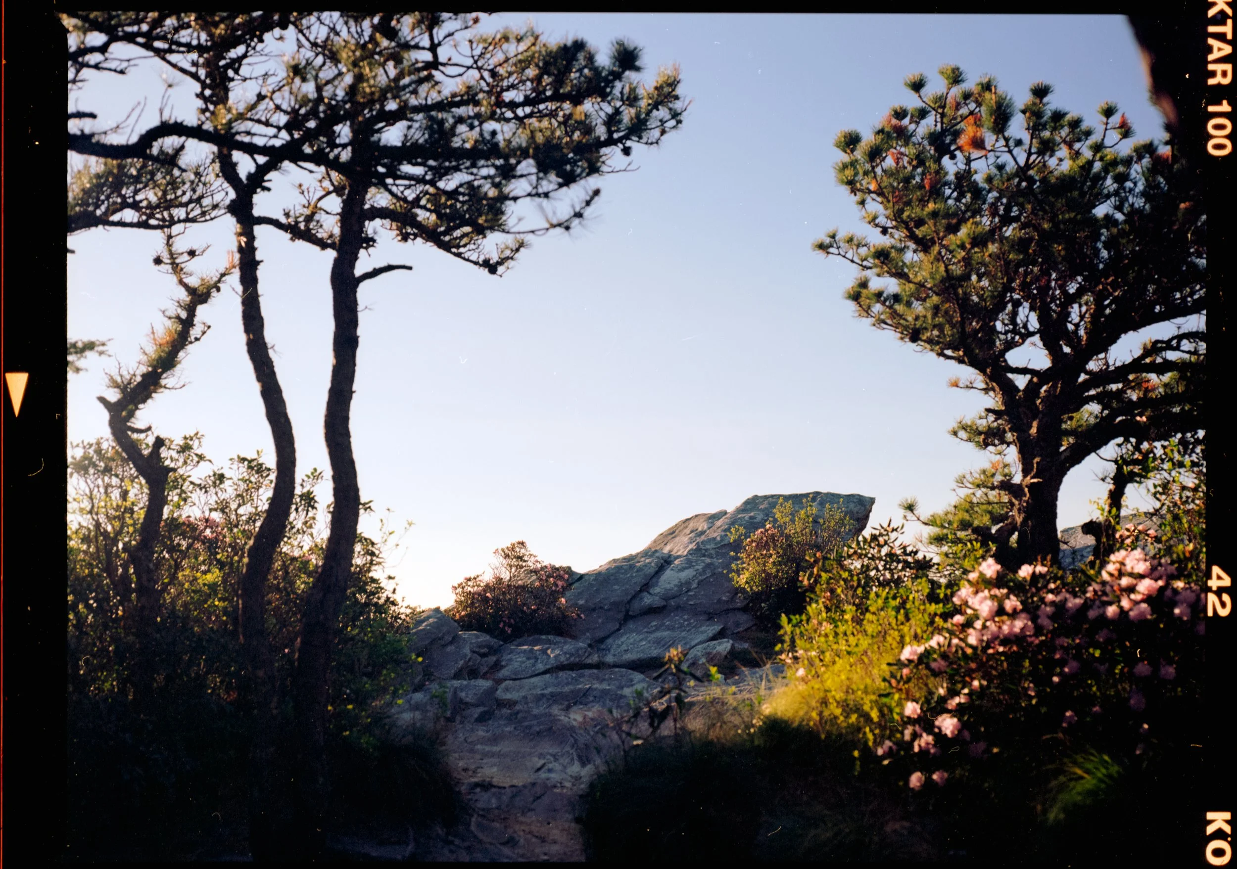 Hawksbill Mountain,  
April 2026