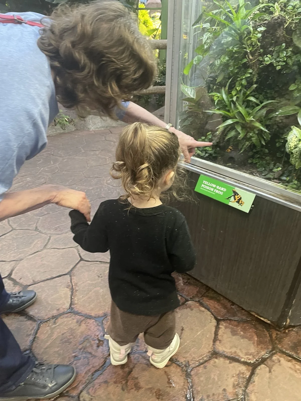 Kathleen with her granddaughter at the Victoria Butterfly Gardens.