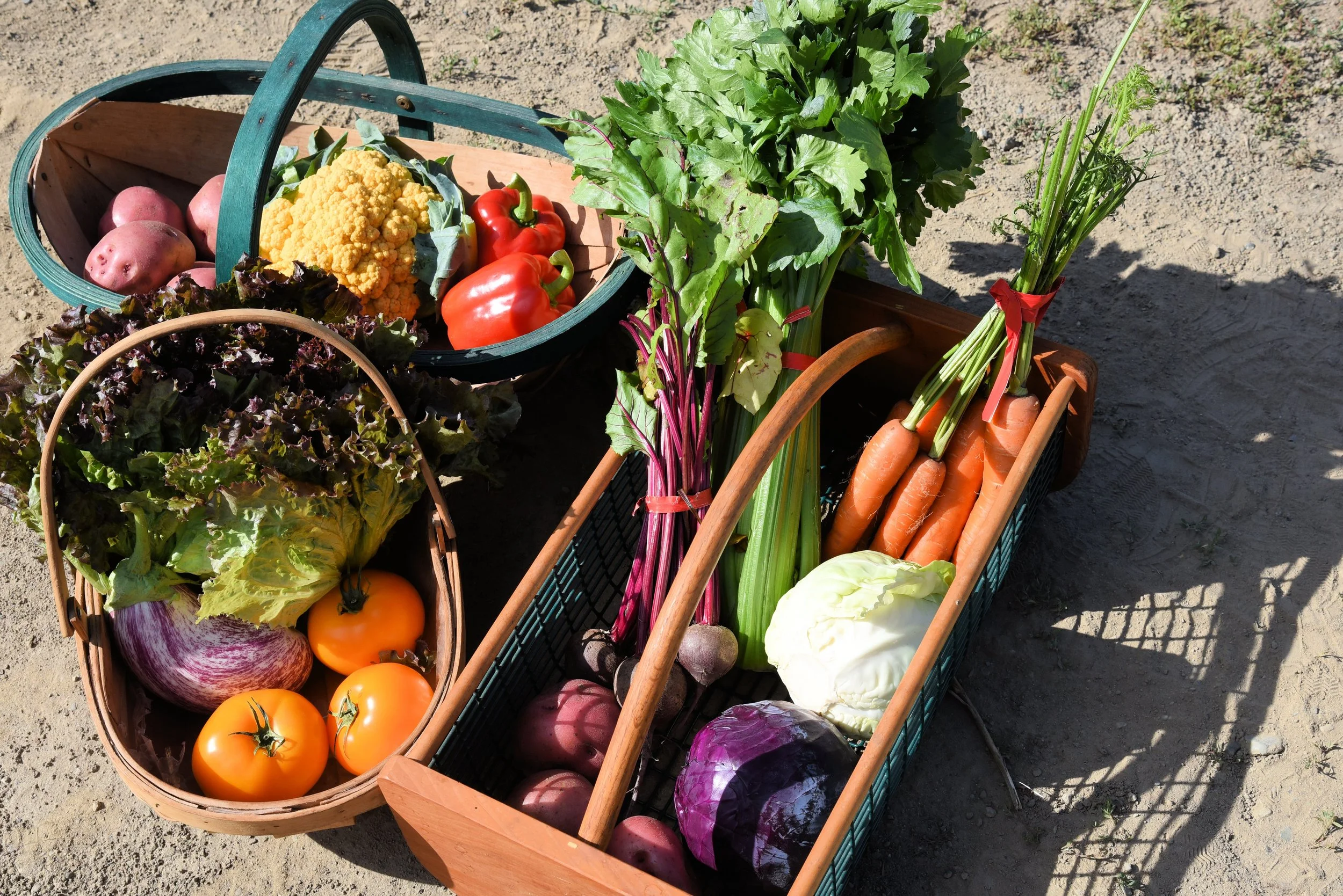 Beautiful baskets of produce grown right here in Central Saanich.