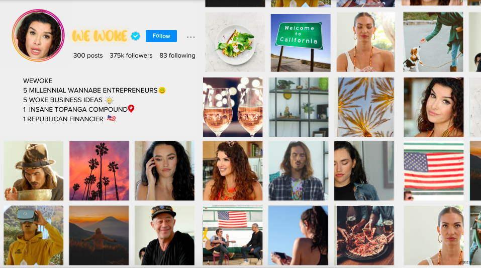 Instagram profile page of WEWOKE, featuring the profile picture of a woman with dark hair, a bio listing her as a millennial entrepreneur and business ideas, and various photos including women, landscapes, food, and American flags.