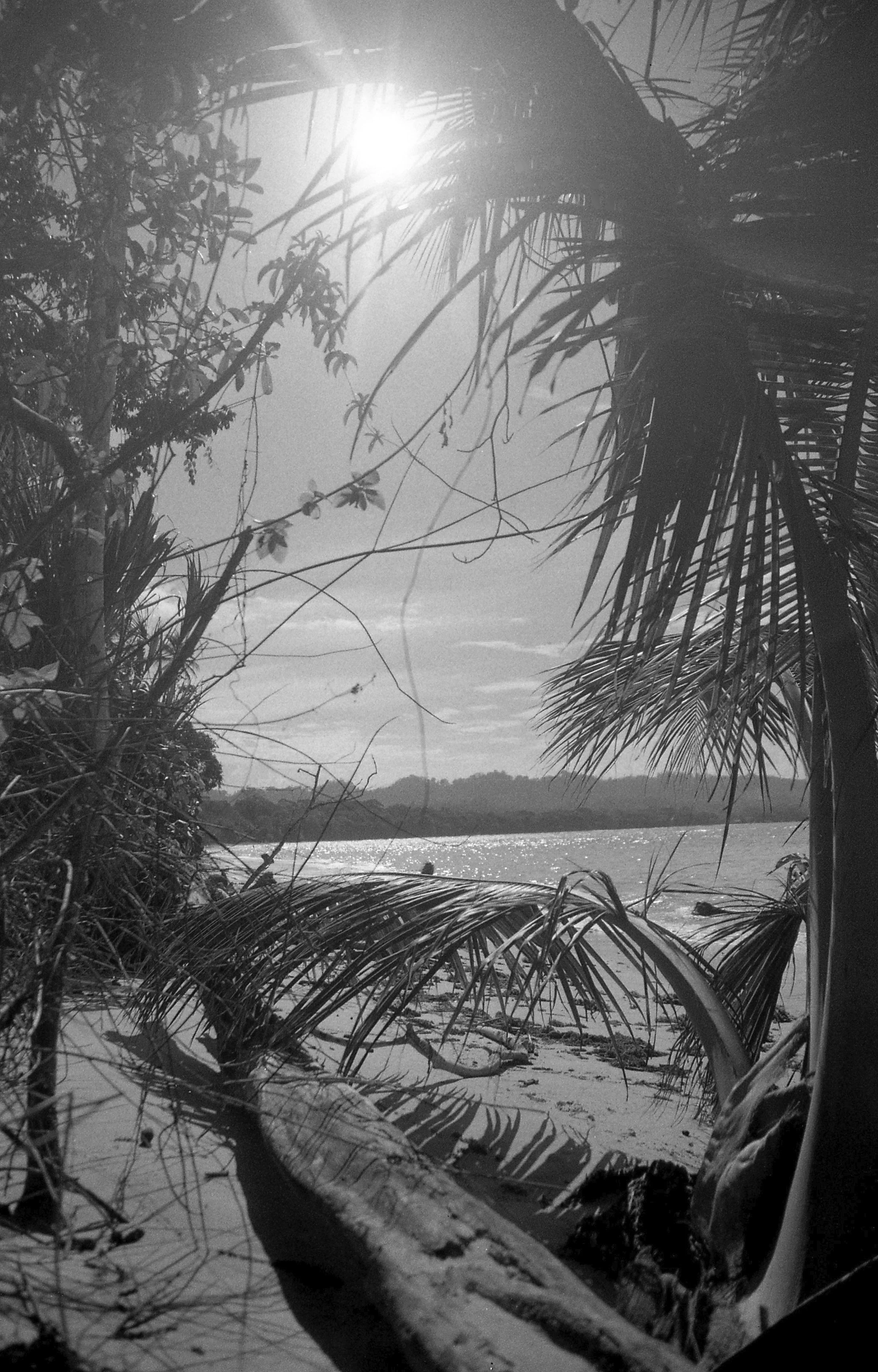 BW002.jpg