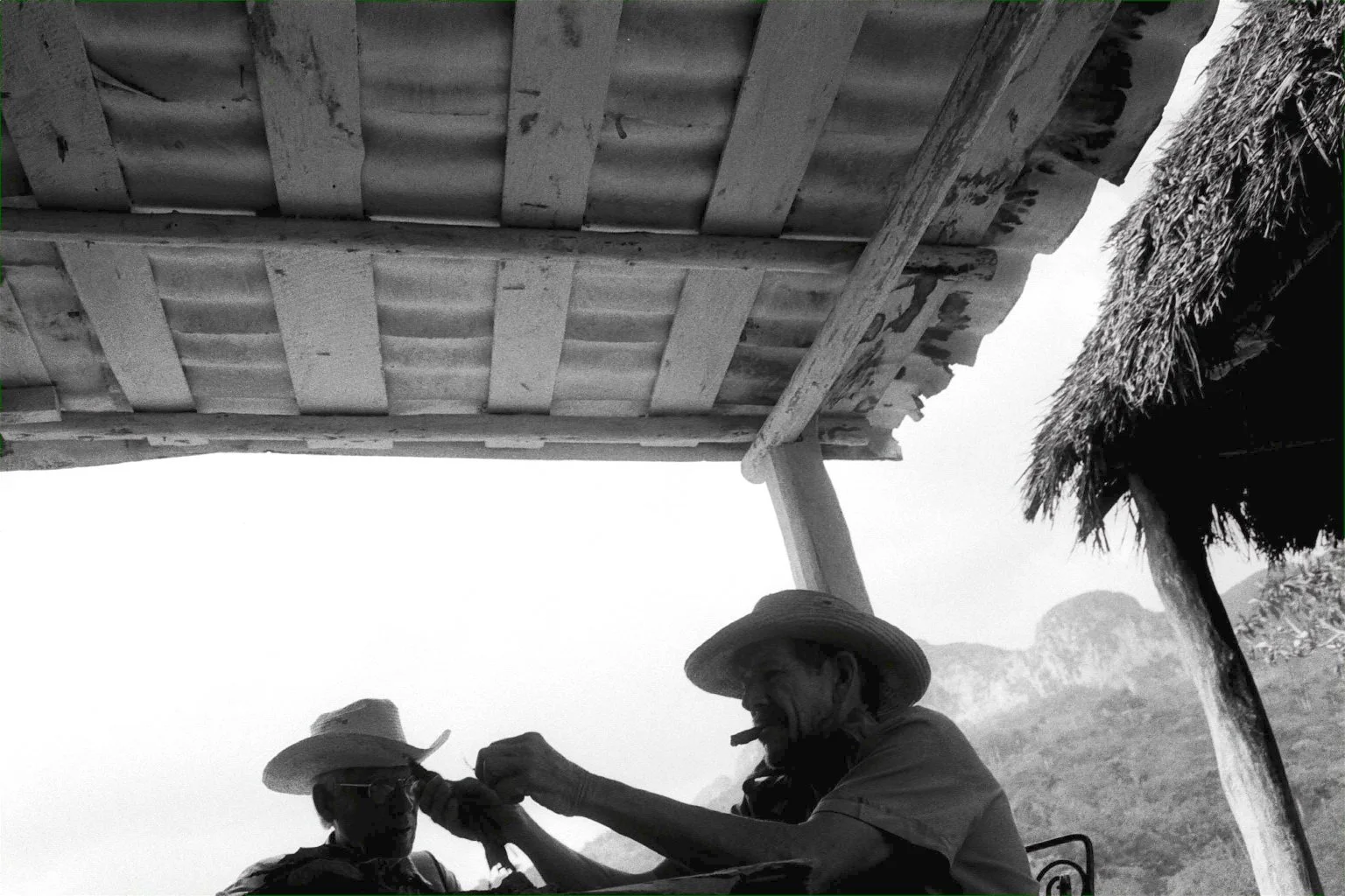 Travel Stills