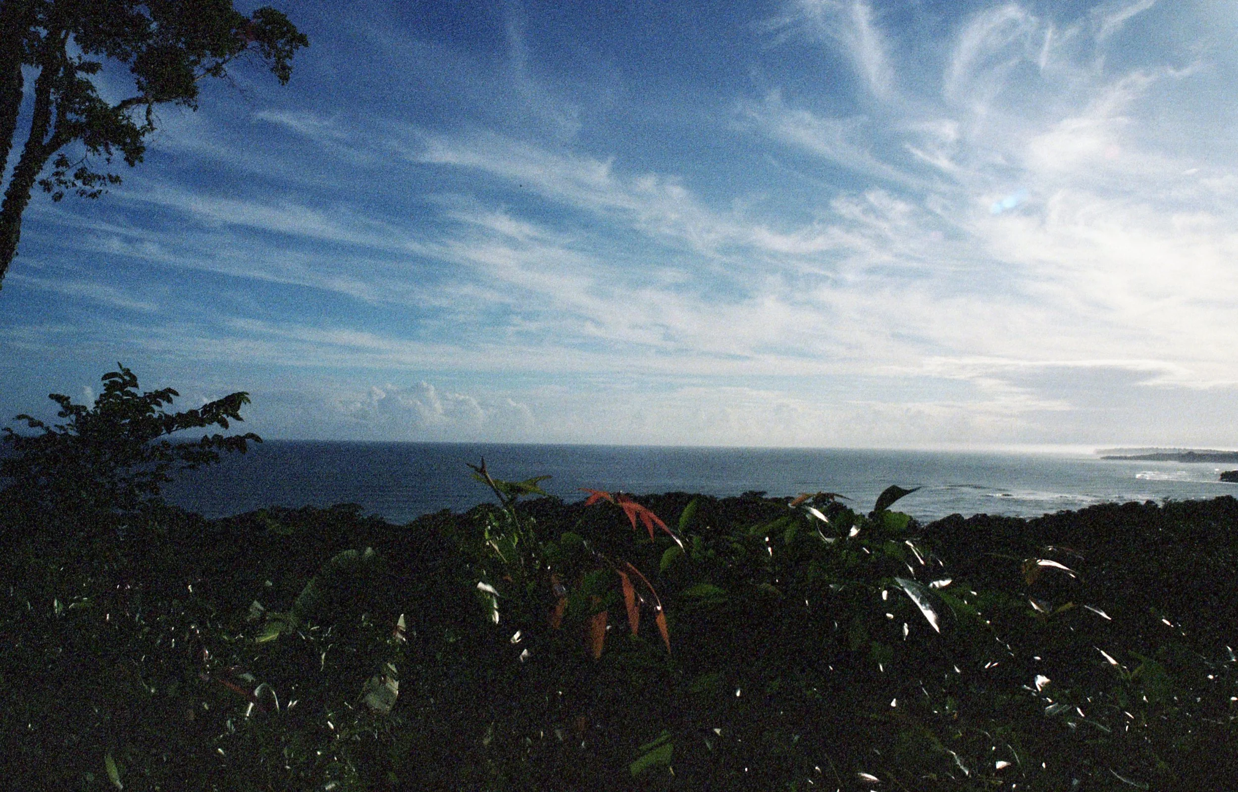 CL016.jpg