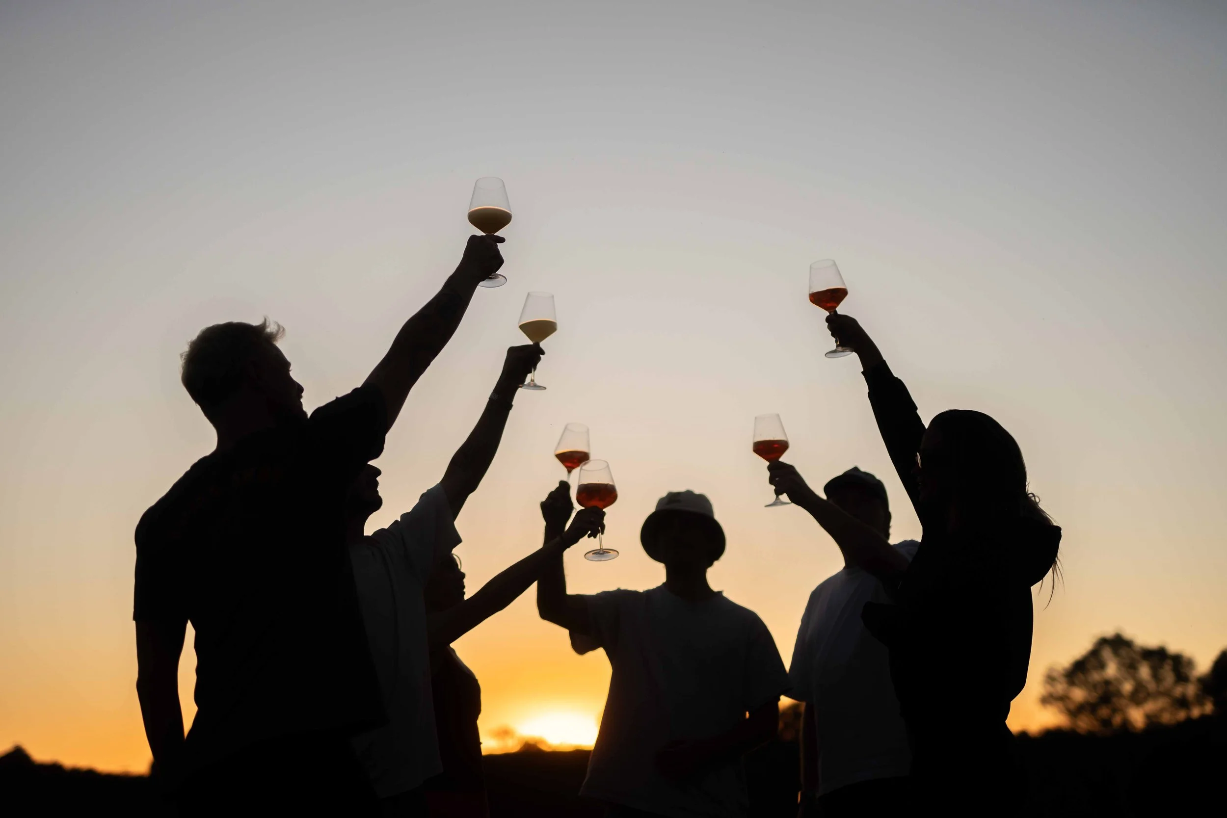 Wine tasting experience at Barossa Sessions in South Australia.